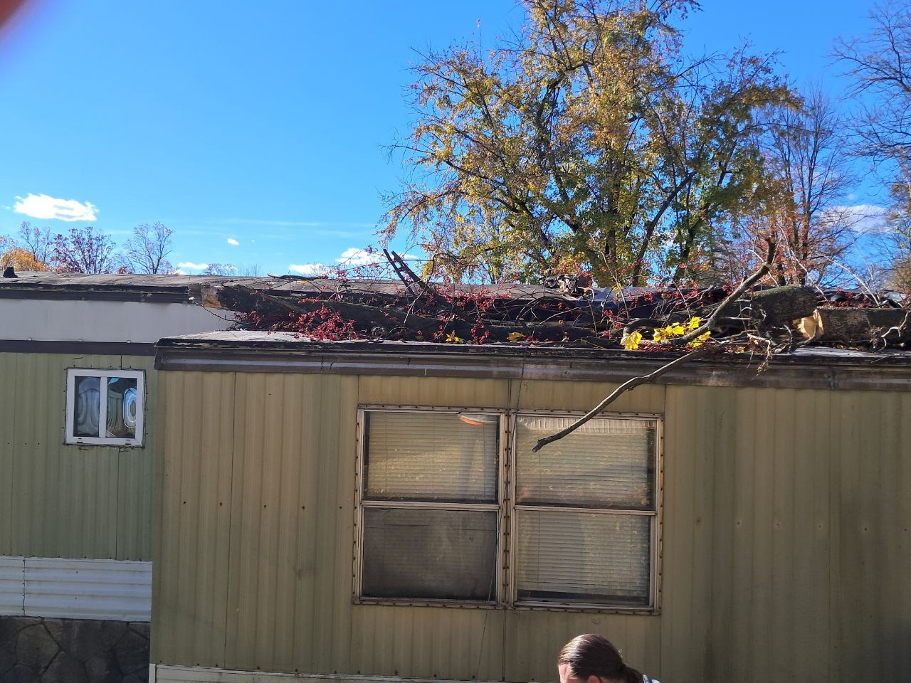 Help Restore Lives After Severe Windstorm campaign photo, 5 of 7
