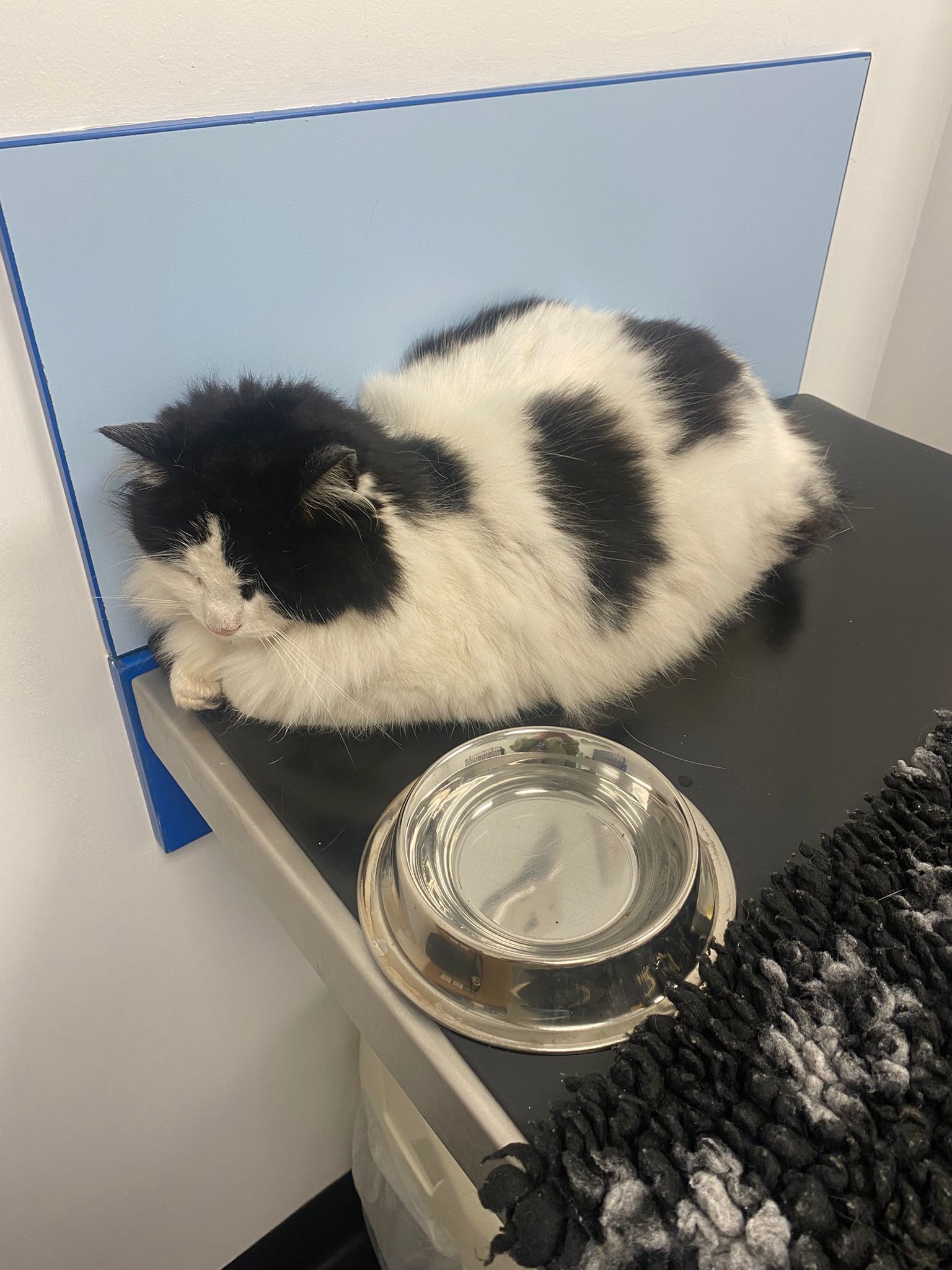 User-uploaded image 1