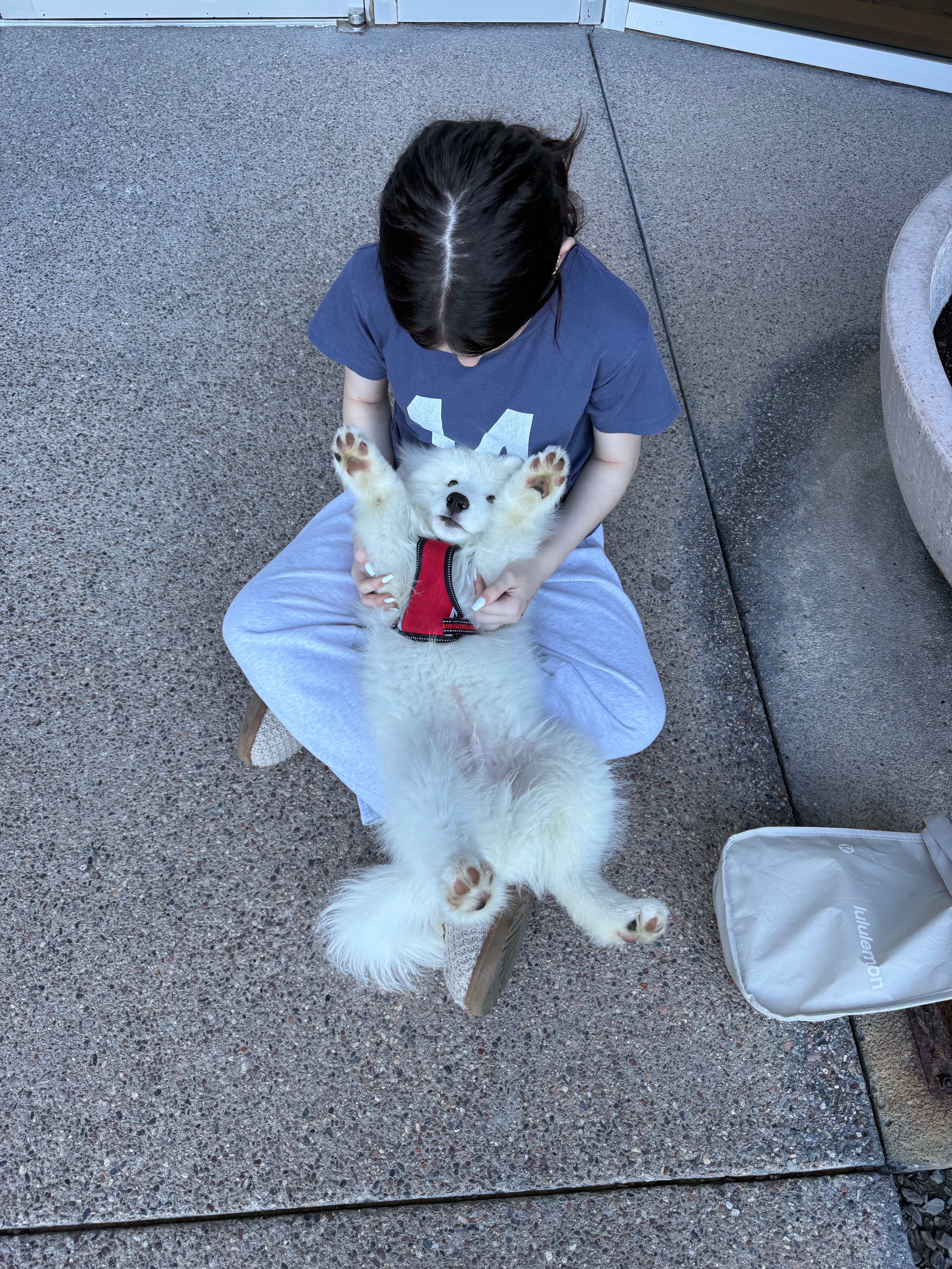 One Dog. One Child. A Lifetime of Support! campaign photo, 6 of 8