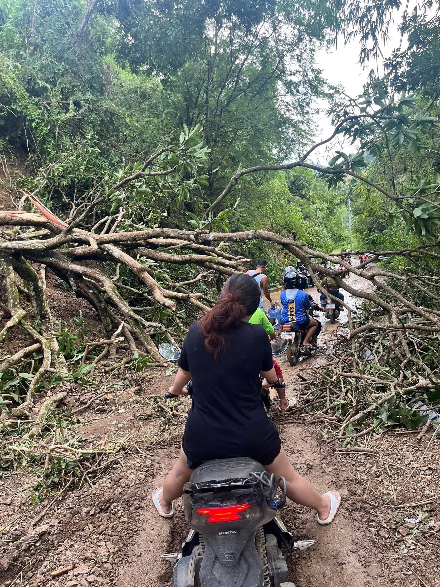 Remote Areas in Cebu City affected by the typhoon campaign photo, 4 of 8