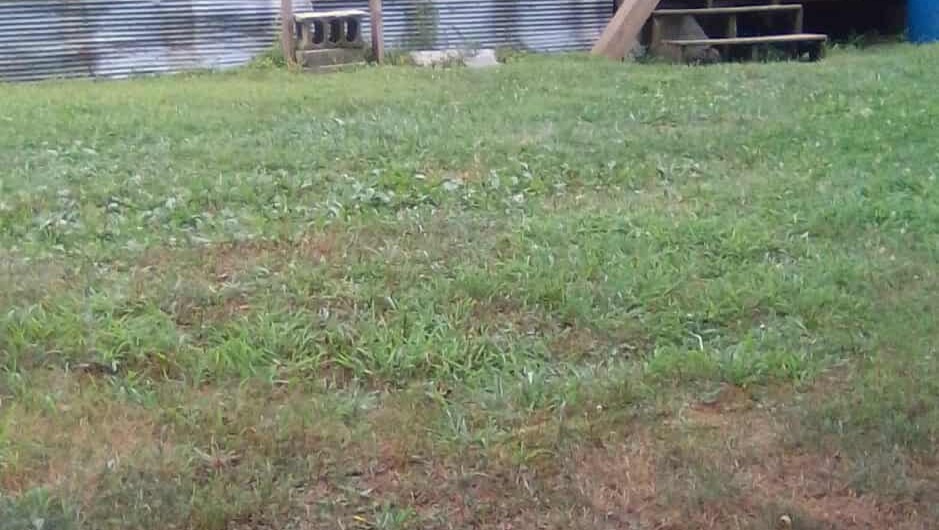 Urgent: Support Joshua to Keep His Cabin photo
