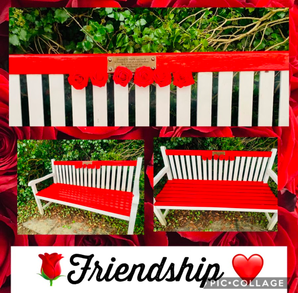 Help Replace Aaron’s Memorial Bench in Glossop Cemetery campaign photo, 5 of 8