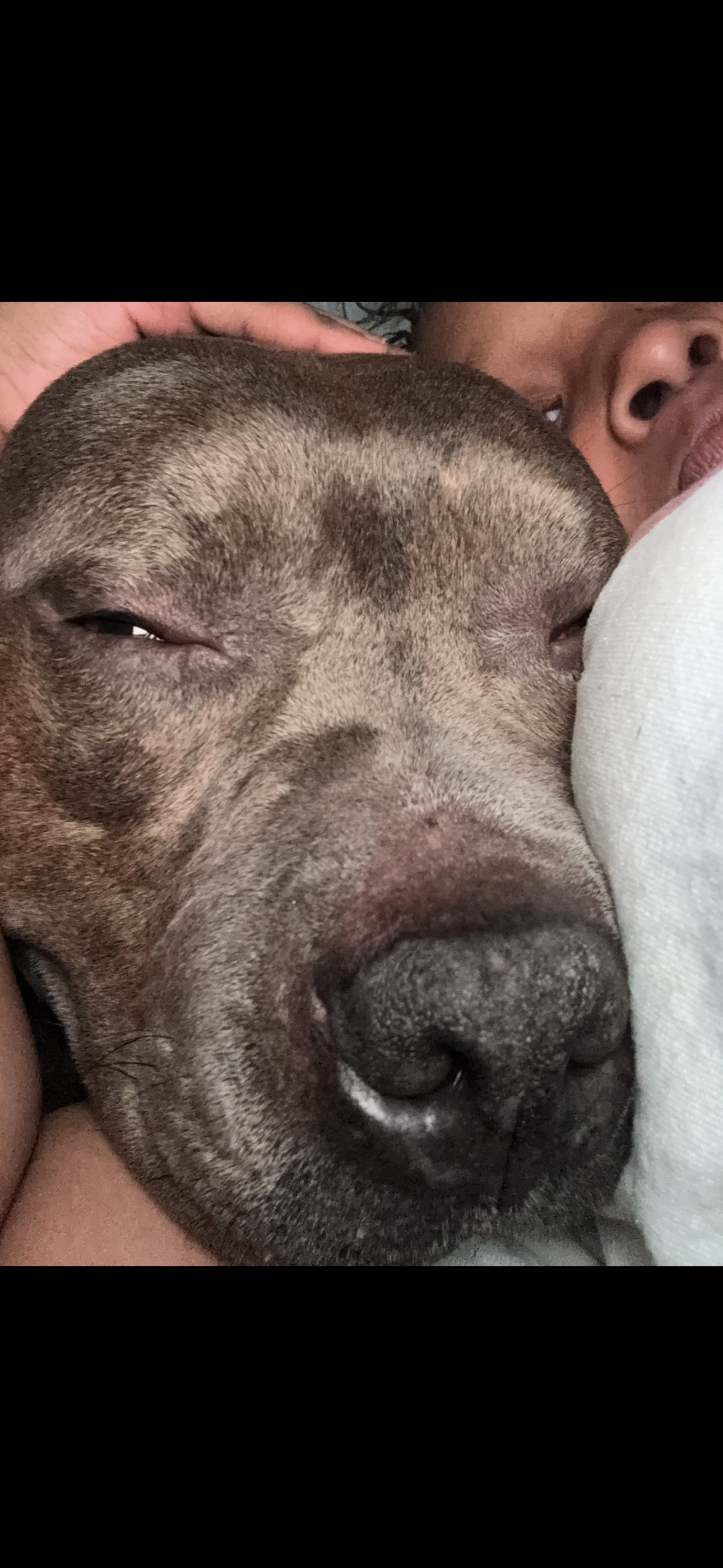 Help Save Diggy — My Sweet Boy Needs Urgent Vet Care campaign photo, 5 of 7