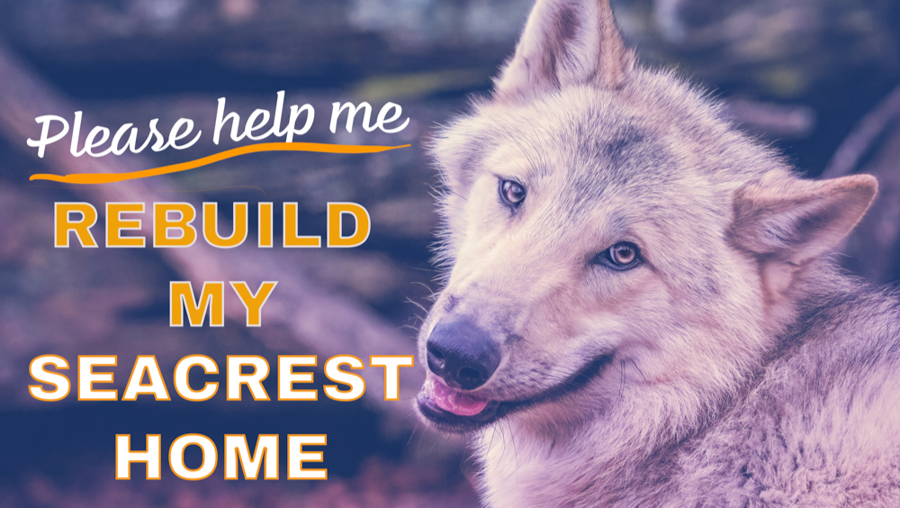 Help Rebuild the Seacrest Wolf Preserve photo