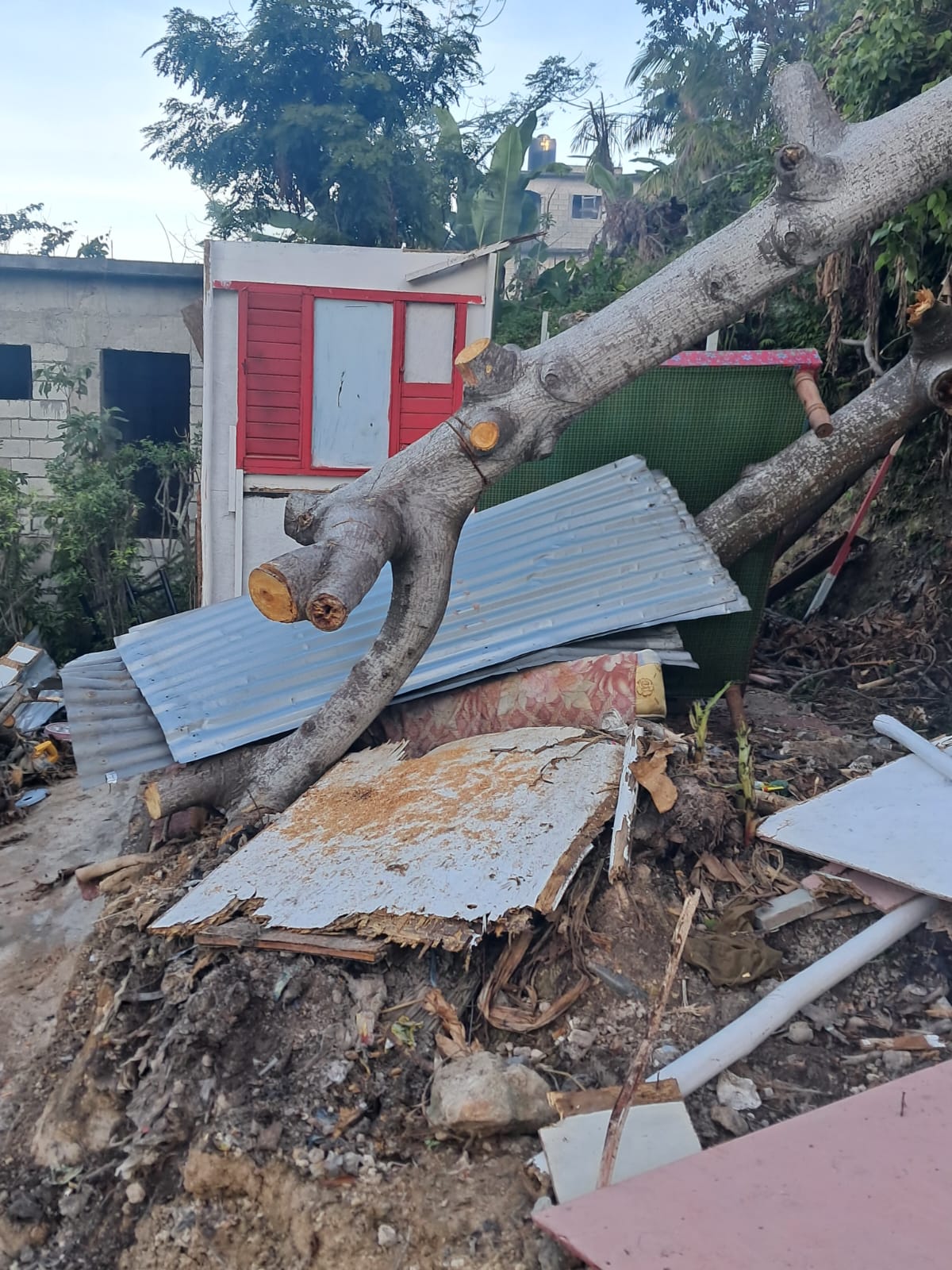 To help Barrettown in Jamaica campaign photo, 6 of 8