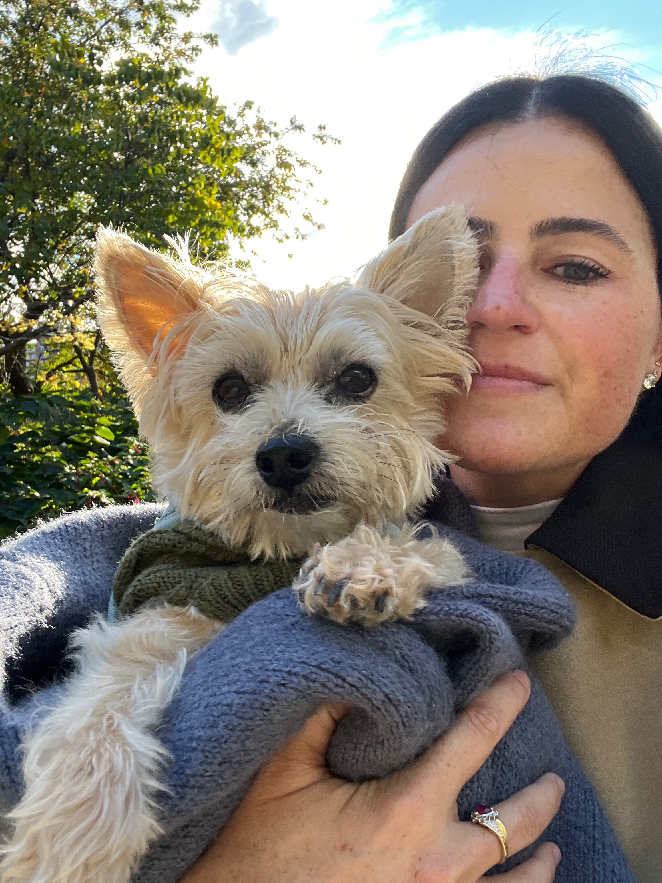 Help Save Benji: Urgent Surgery Needed campaign photo, 4 of 8