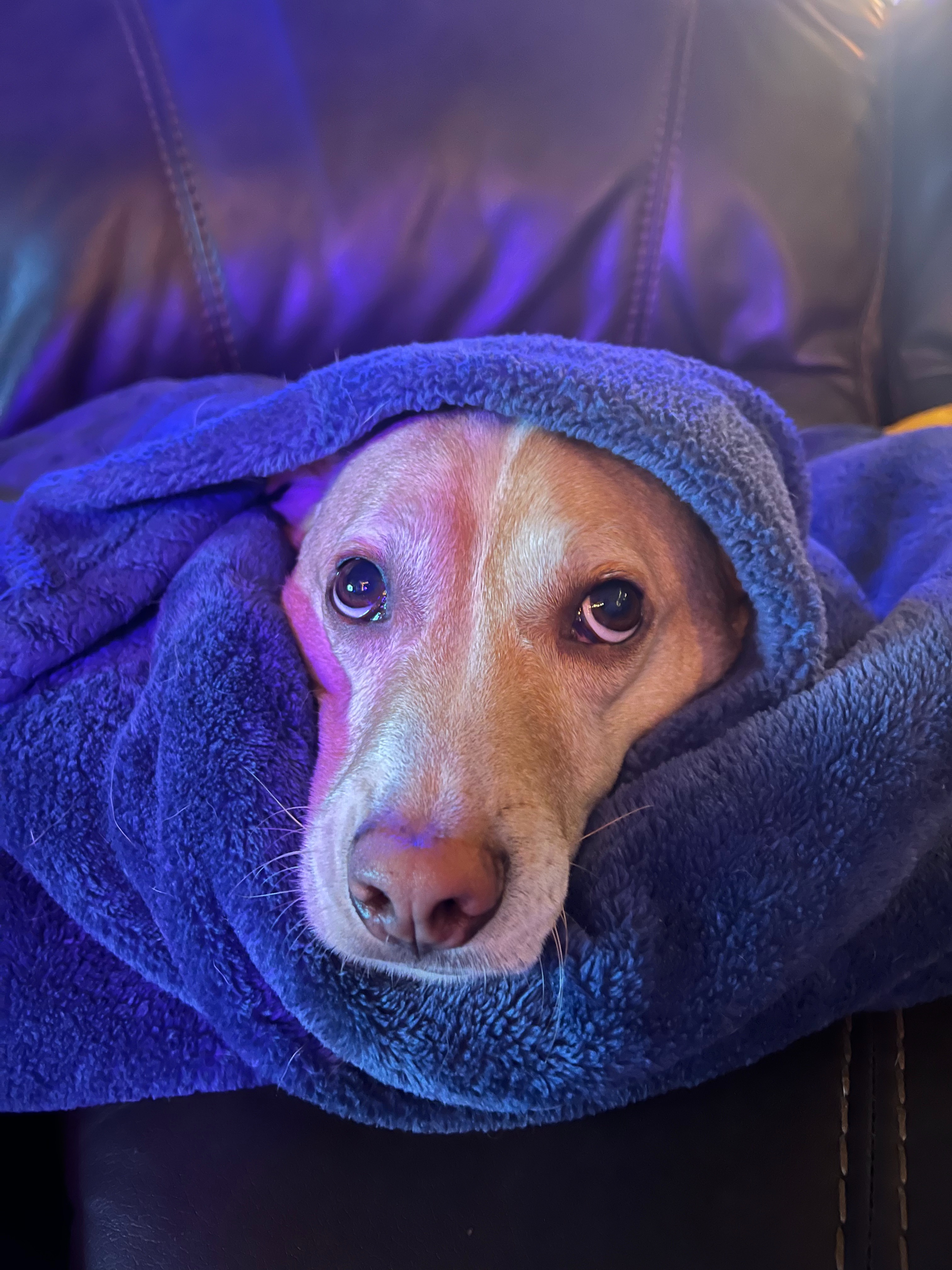 Ensure Finley's Peaceful and Dignified Days campaign photo, 5 of 7