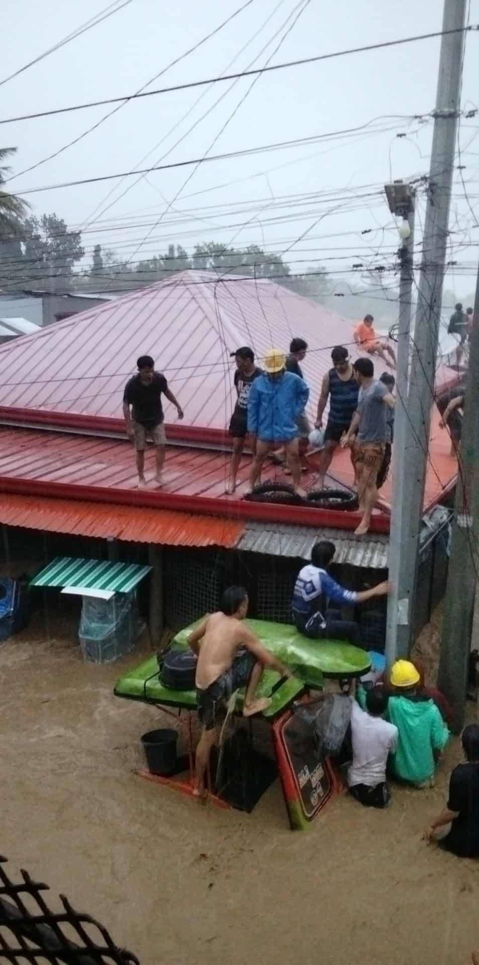 Support Danao City Philippines After Typhoon Tino campaign photo, 5 of 8