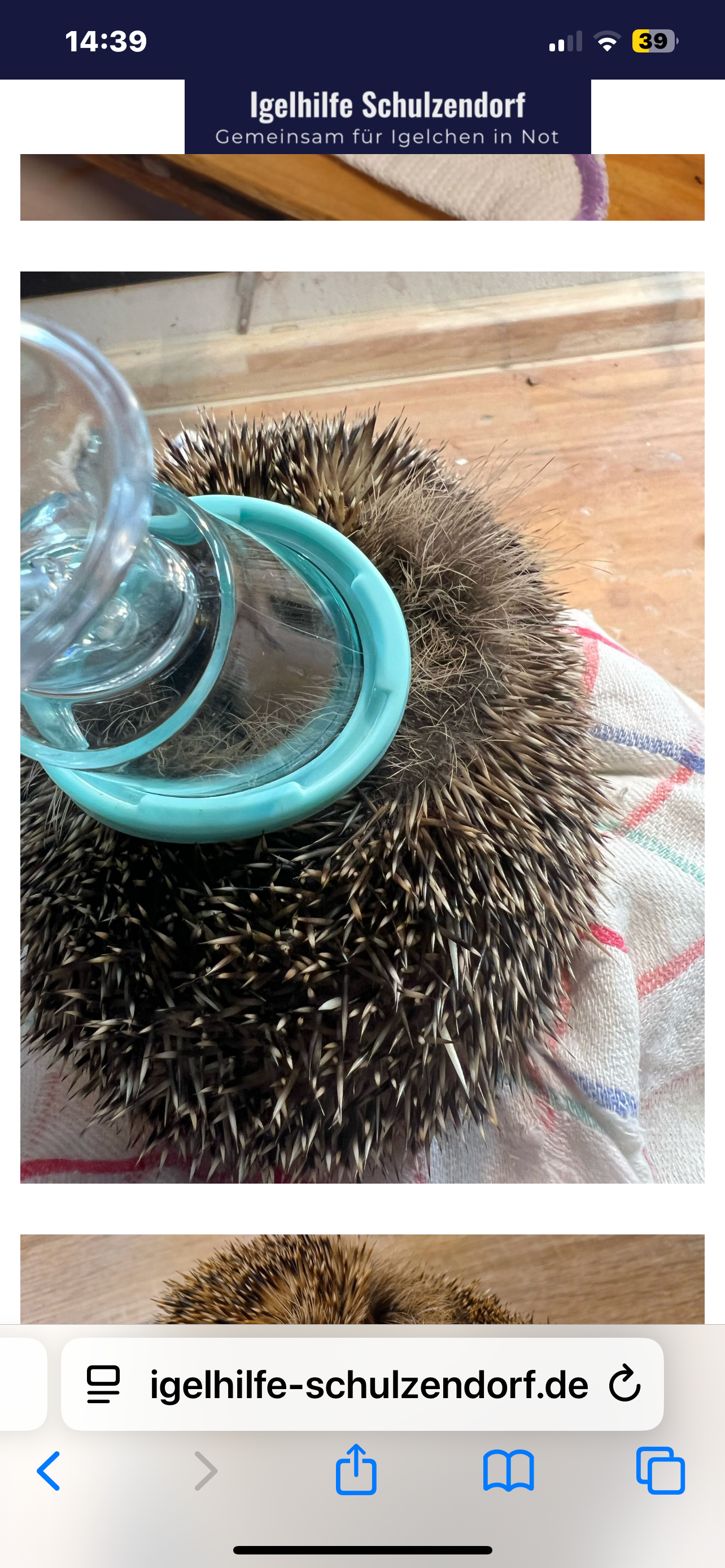IGEL Hilfe Schulzendorf campaign photo, 2 of 7