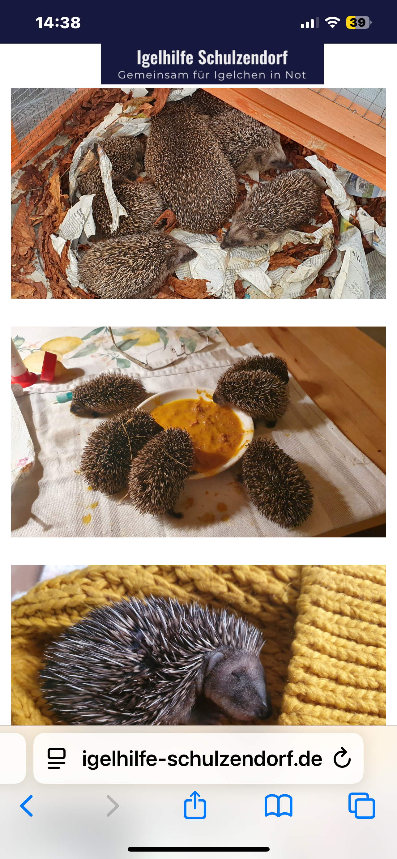 IGEL Hilfe Schulzendorf campaign photo, 5 of 7