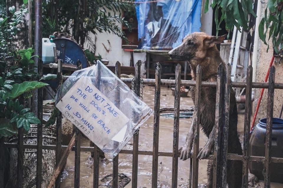 Help Cebu Families Devastated by Typhoon Tino campaign photo, 2 of 8