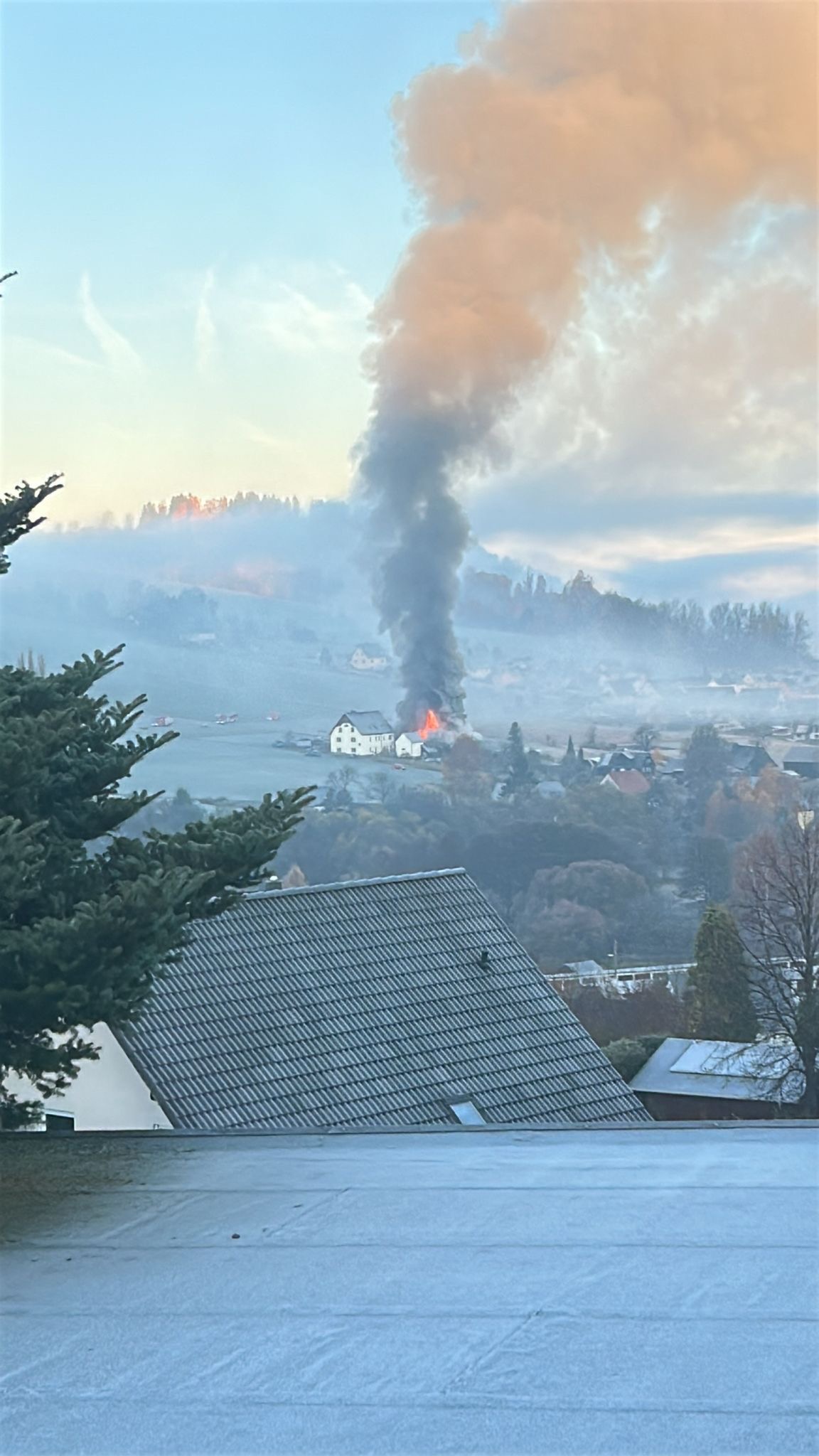 User-uploaded image 1