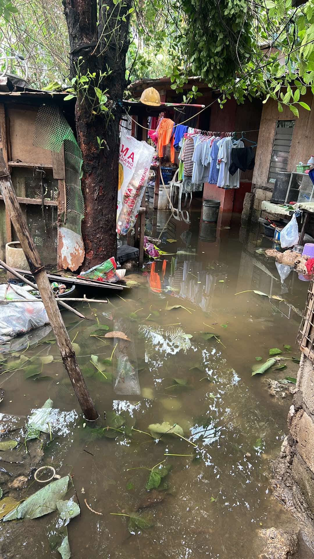 Help the people in Cebu that lost everything campaign photo, 4 of 5
