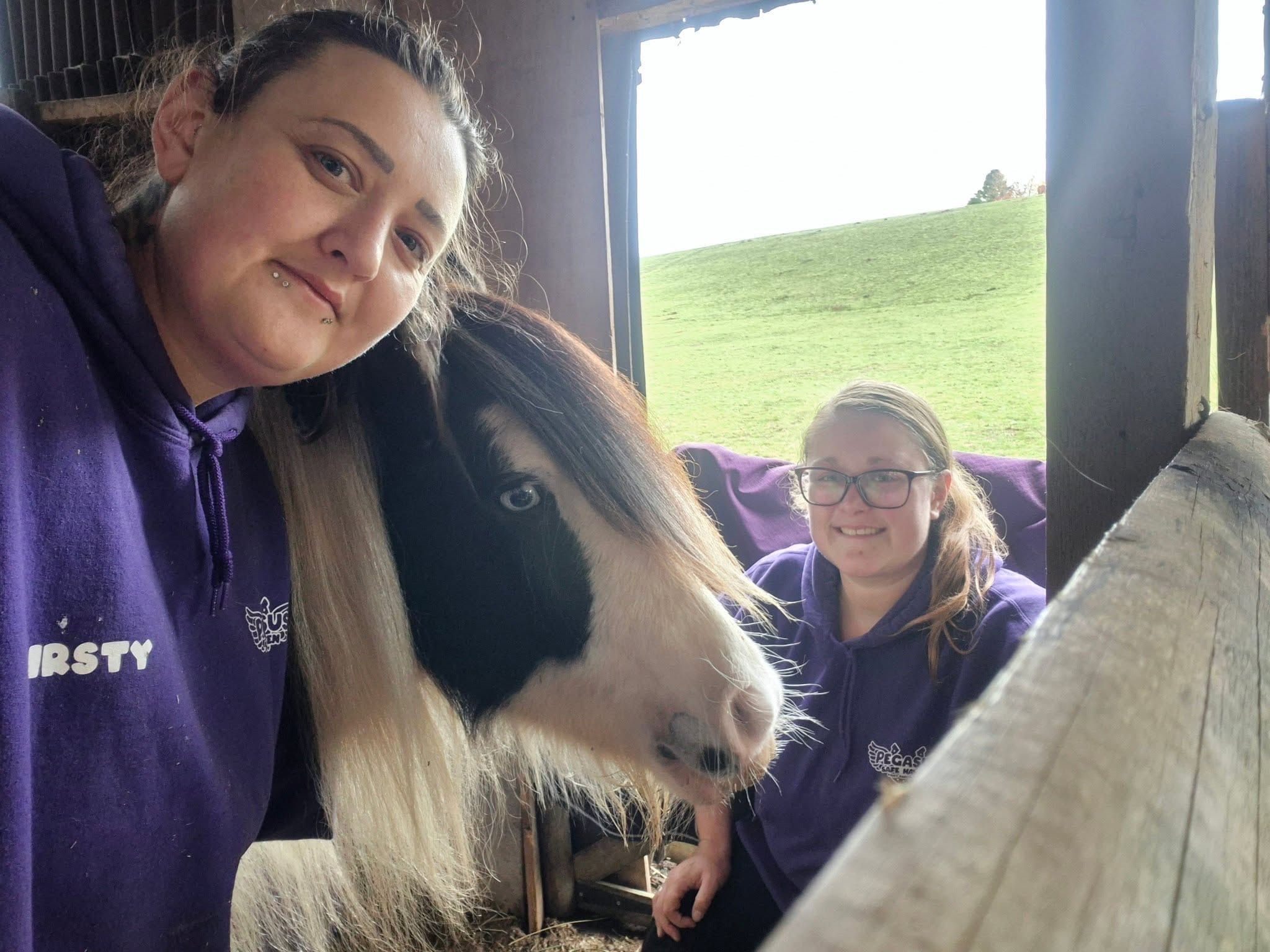 Help Save baby Raine – A Brave Pony Fighting for Her Life campaign photo, 1 of 6