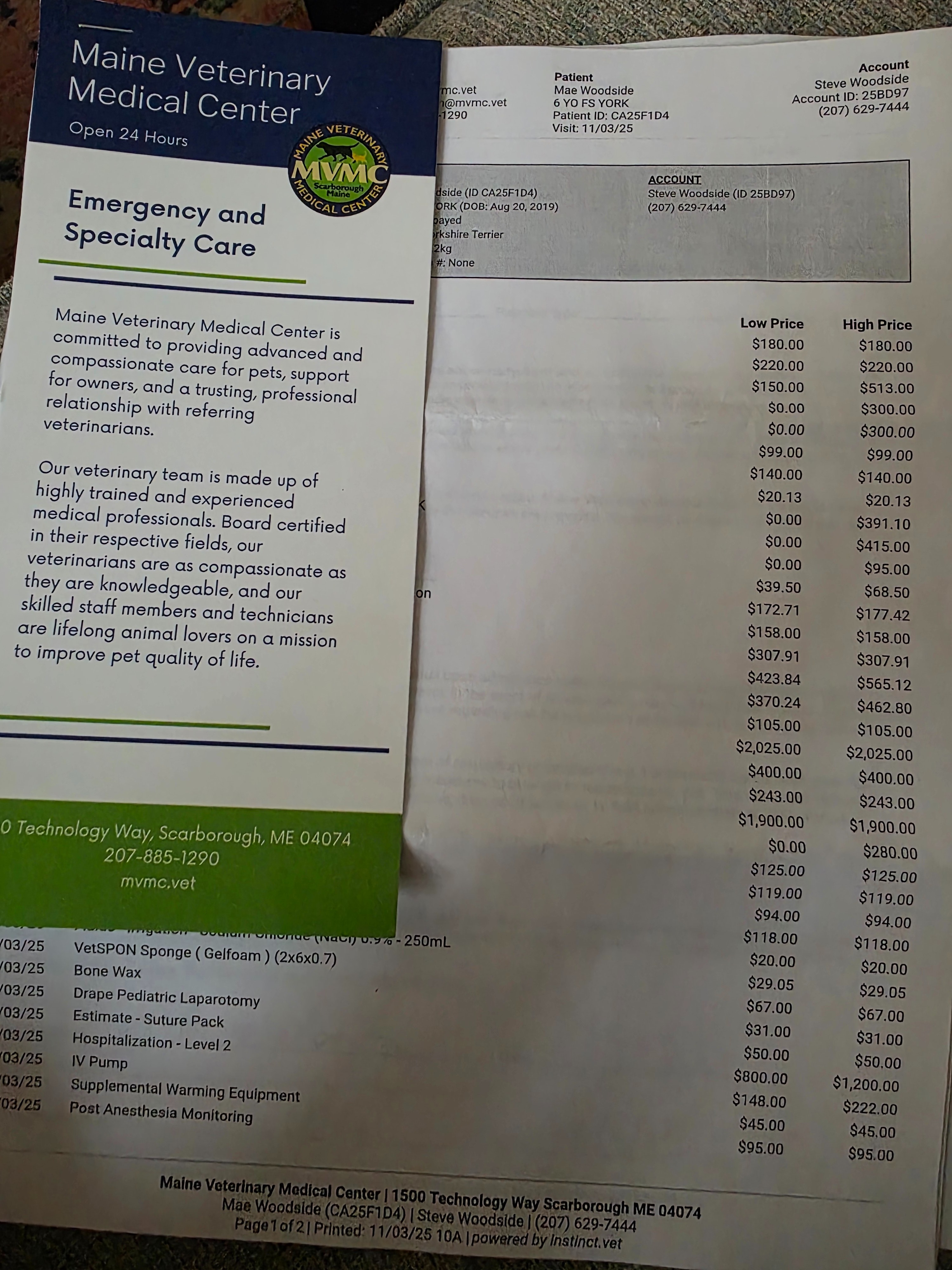Donate to Mae's Emergency Vet Care campaign photo, 2 of 5