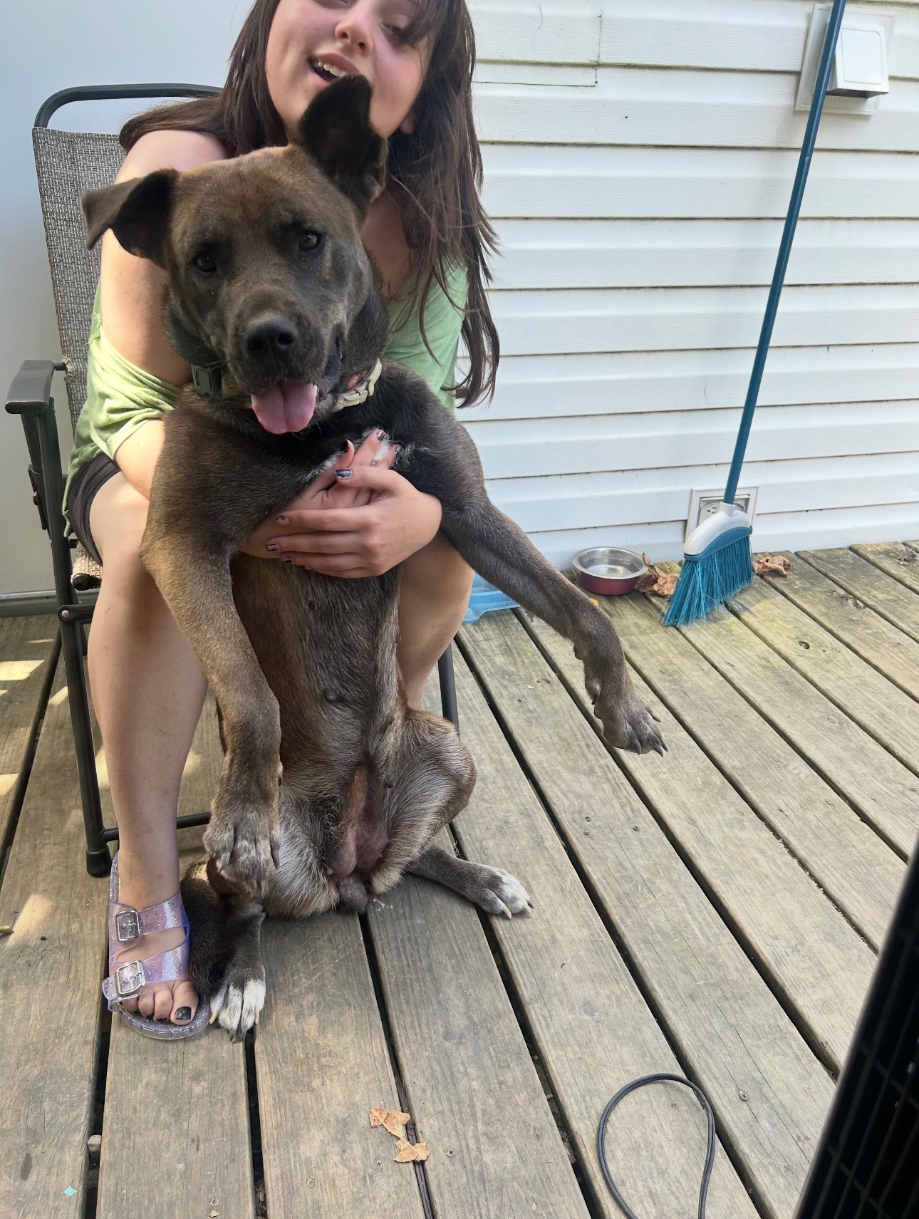 Help Save Pepper: Urgent Surgery Needed campaign photo, 4 of 5