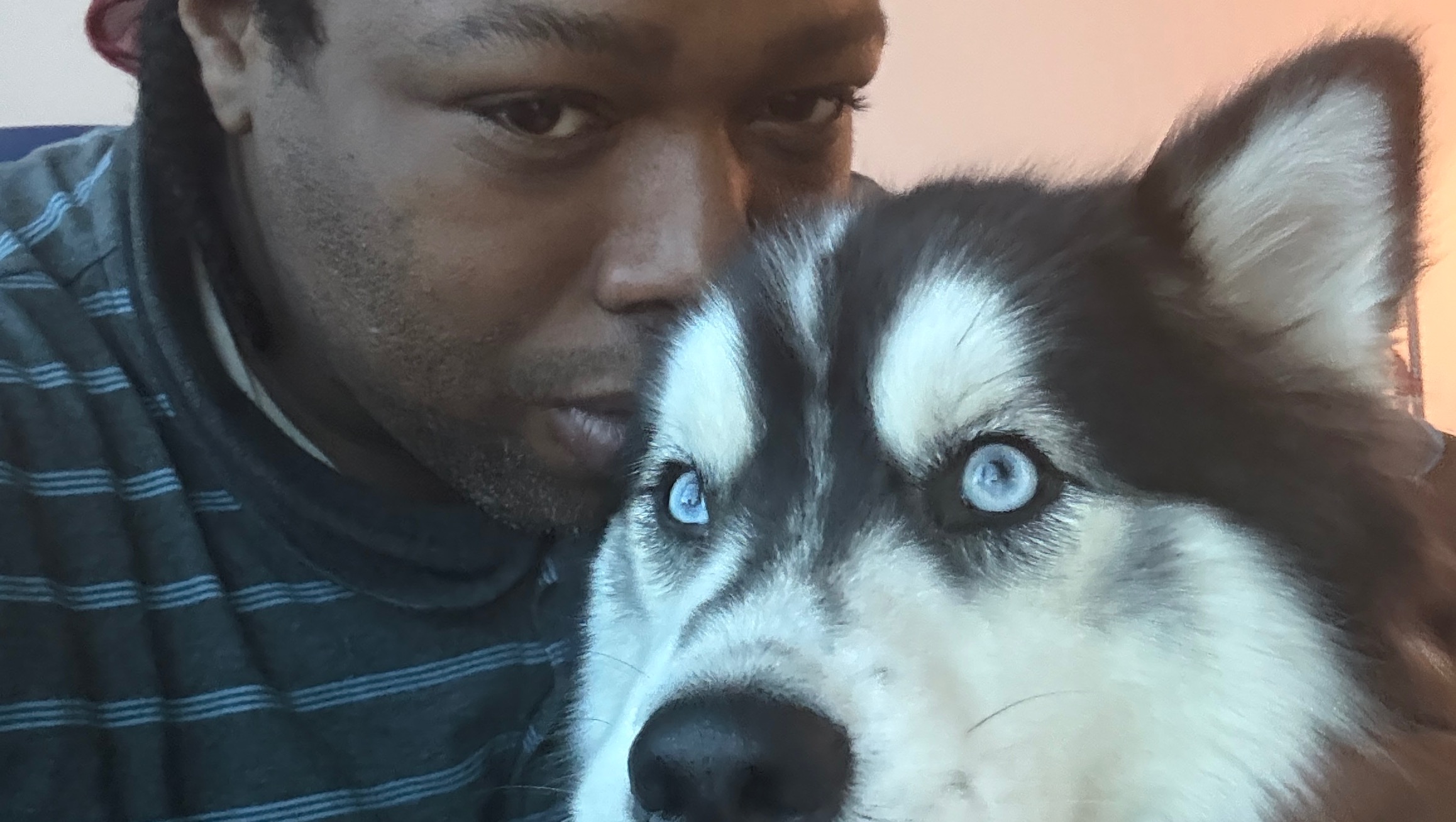 Support Elijah and His Husky in making change photo