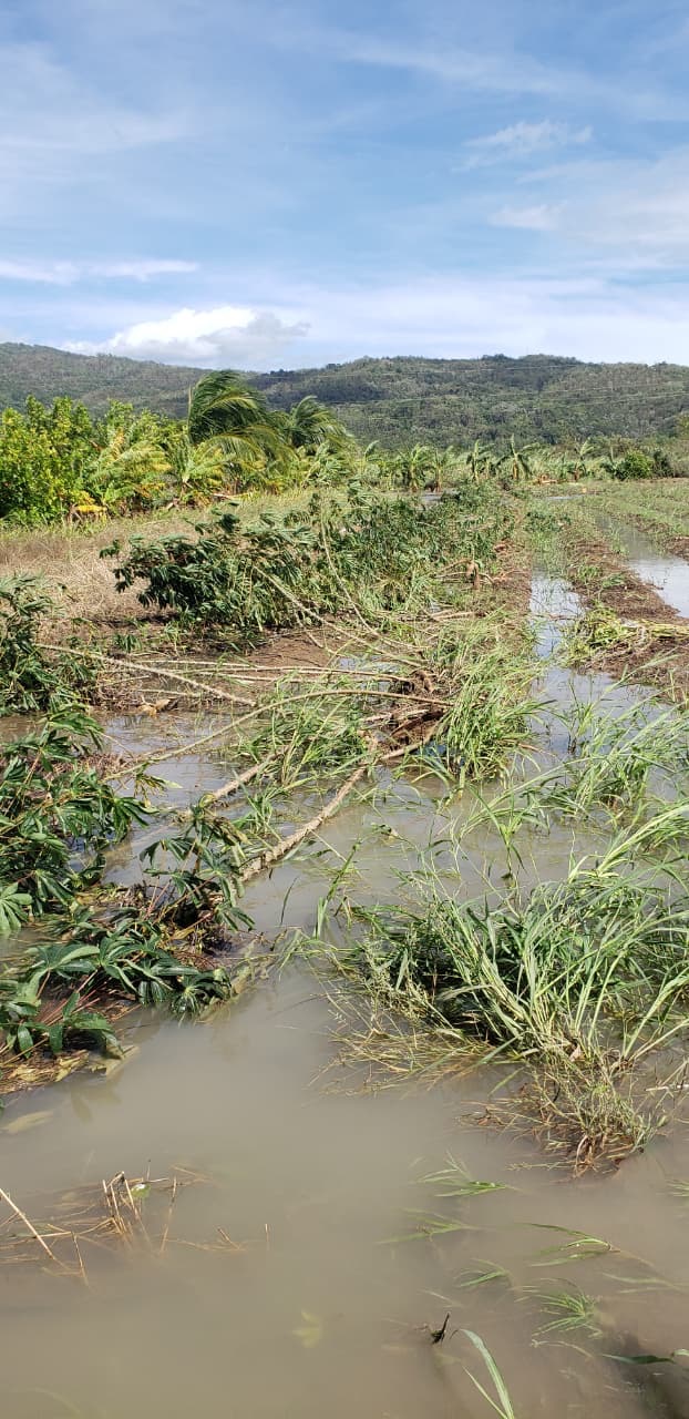 Jah Make Ya: Helping Kirshie’s Family in St. Thomas, Jamaica campaign photo, 5 of 7