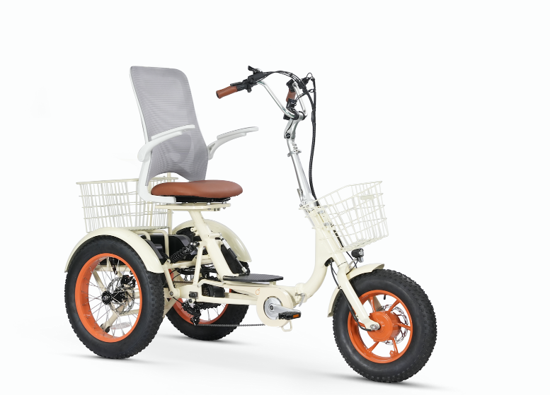 Support Erwin's Independence with E-Trike campaign photo, 2 of 4