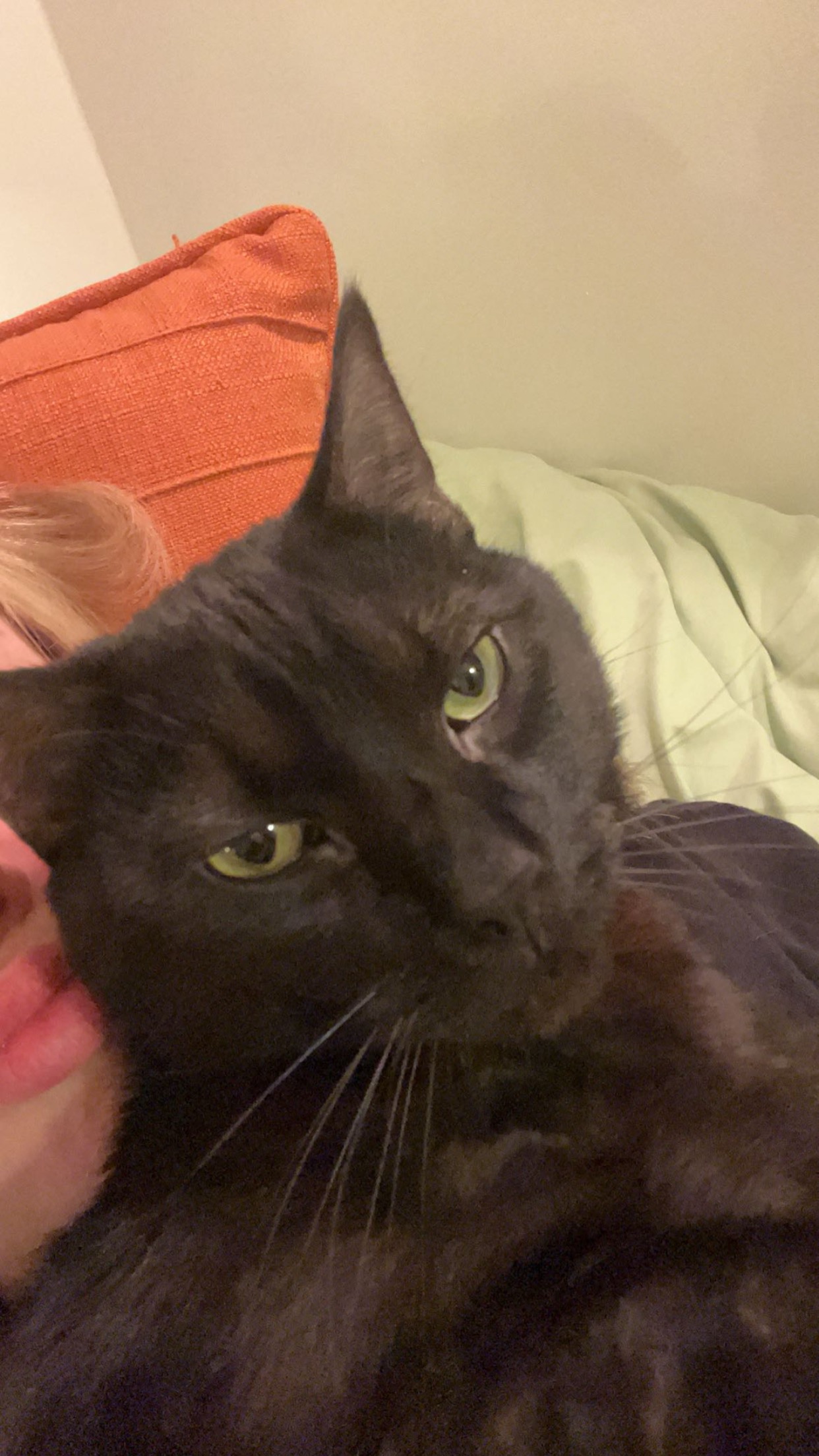 Help Dipper Get the Care He Needs campaign photo, 5 of 6