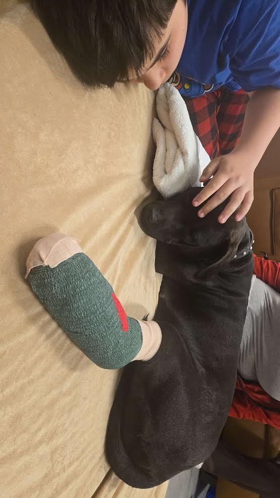 Help Astrid Heal: Support Her Surgery campaign photo, 7 of 8