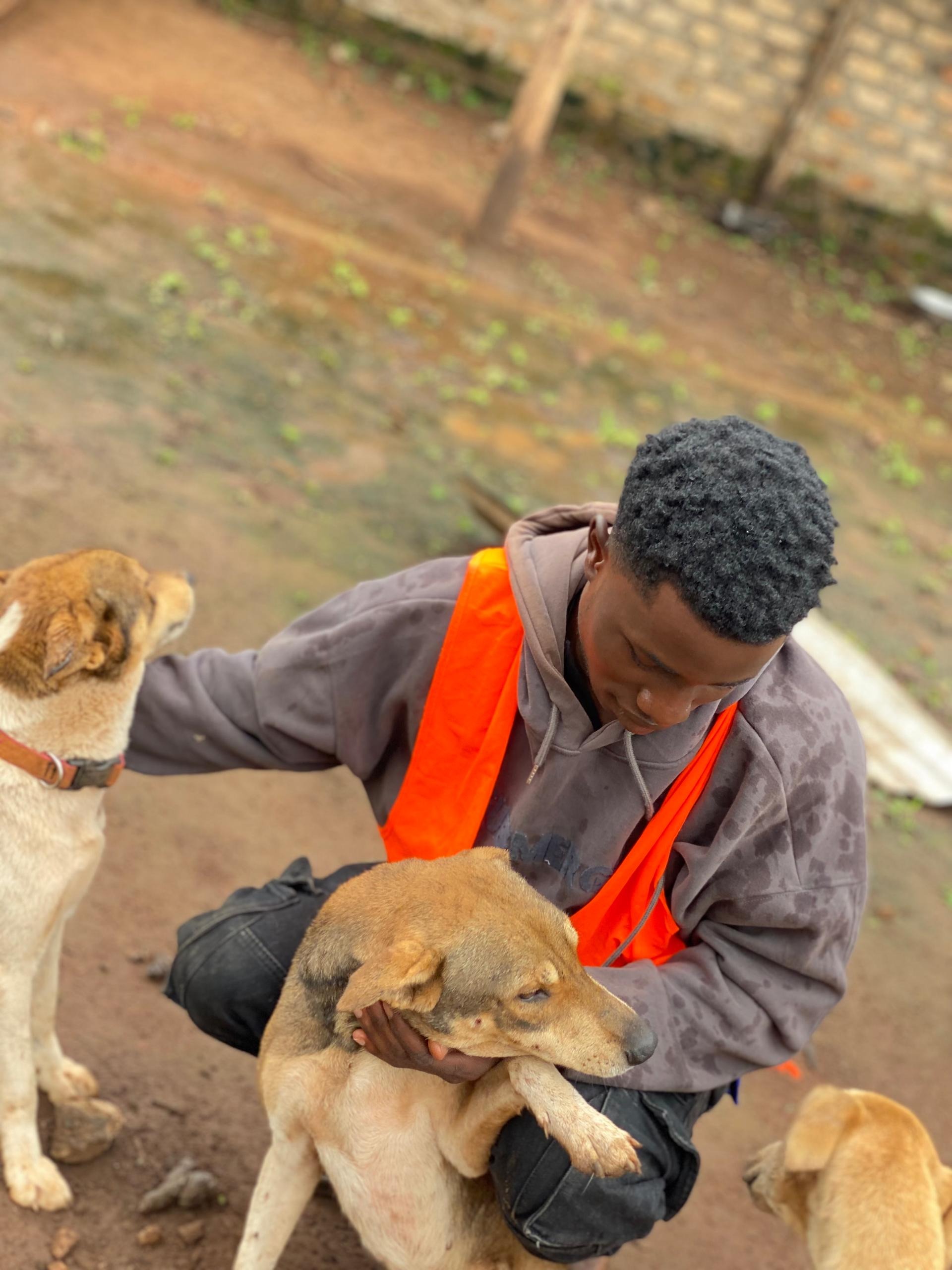 Kiganda Animal shelter Uganda campaign photo, 6 of 6