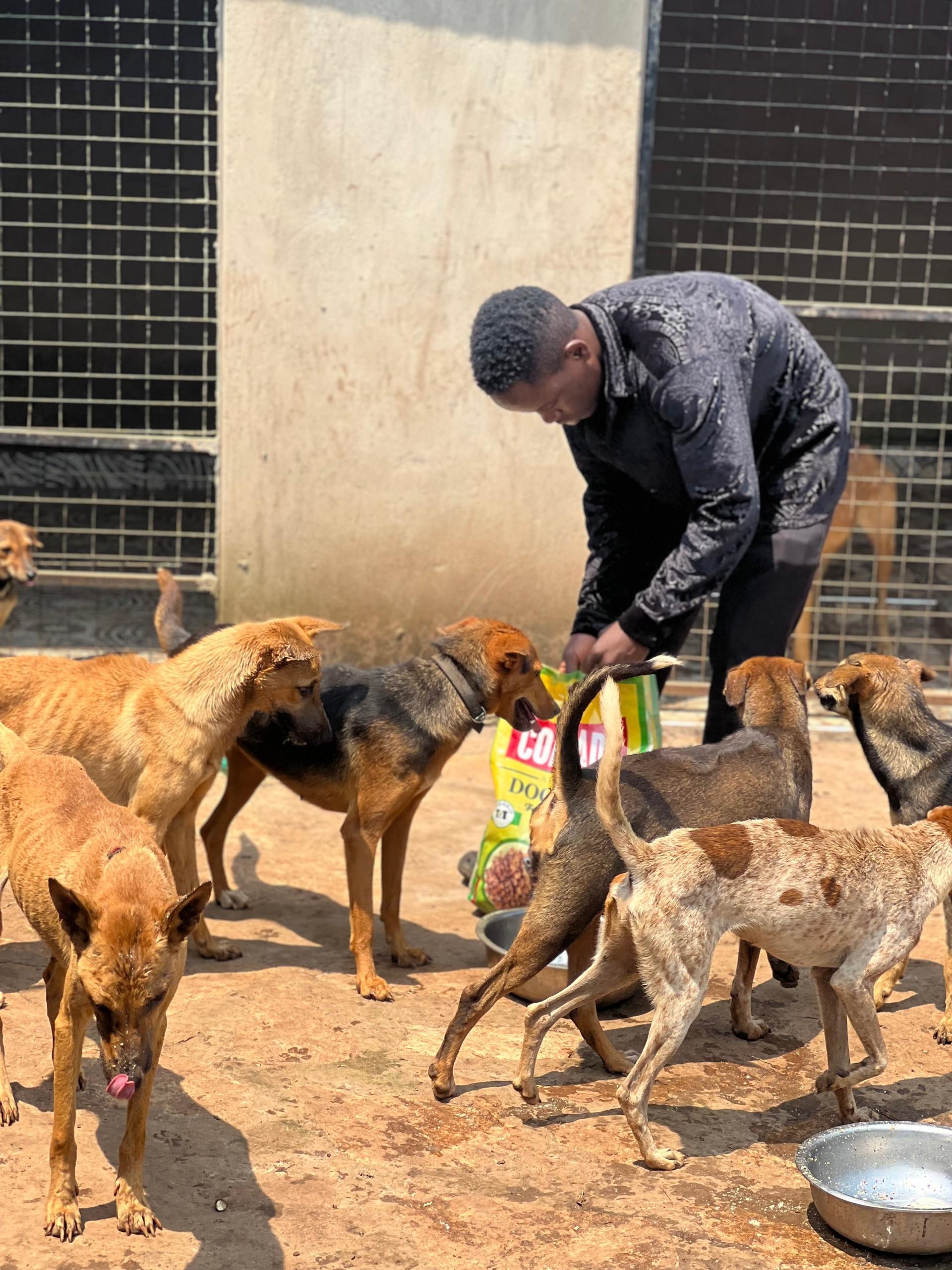 Kiganda Animal shelter Uganda campaign photo, 4 of 6
