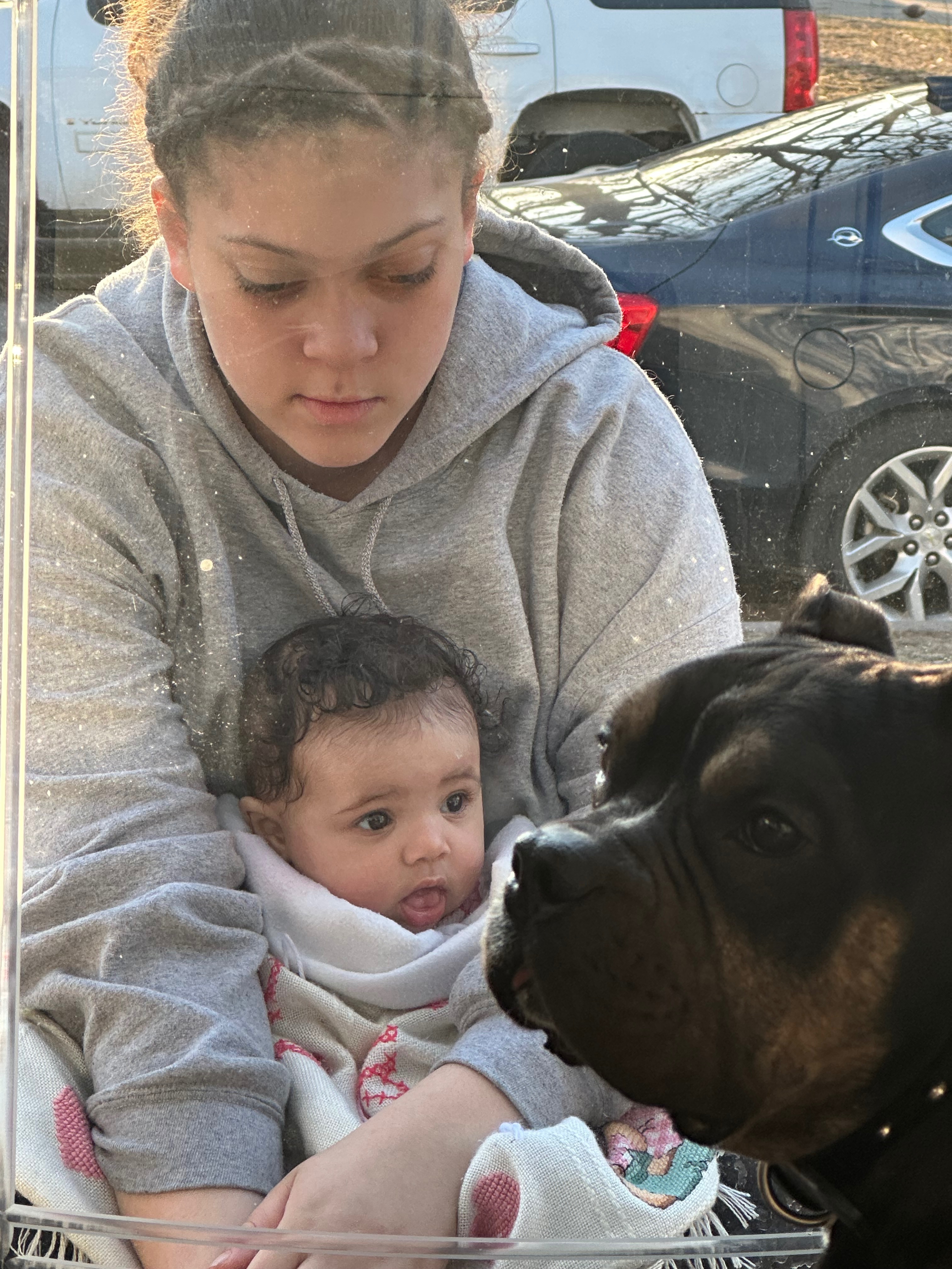 Donate to Save Biggie: Our Family's Best Friend campaign photo, 2 of 8