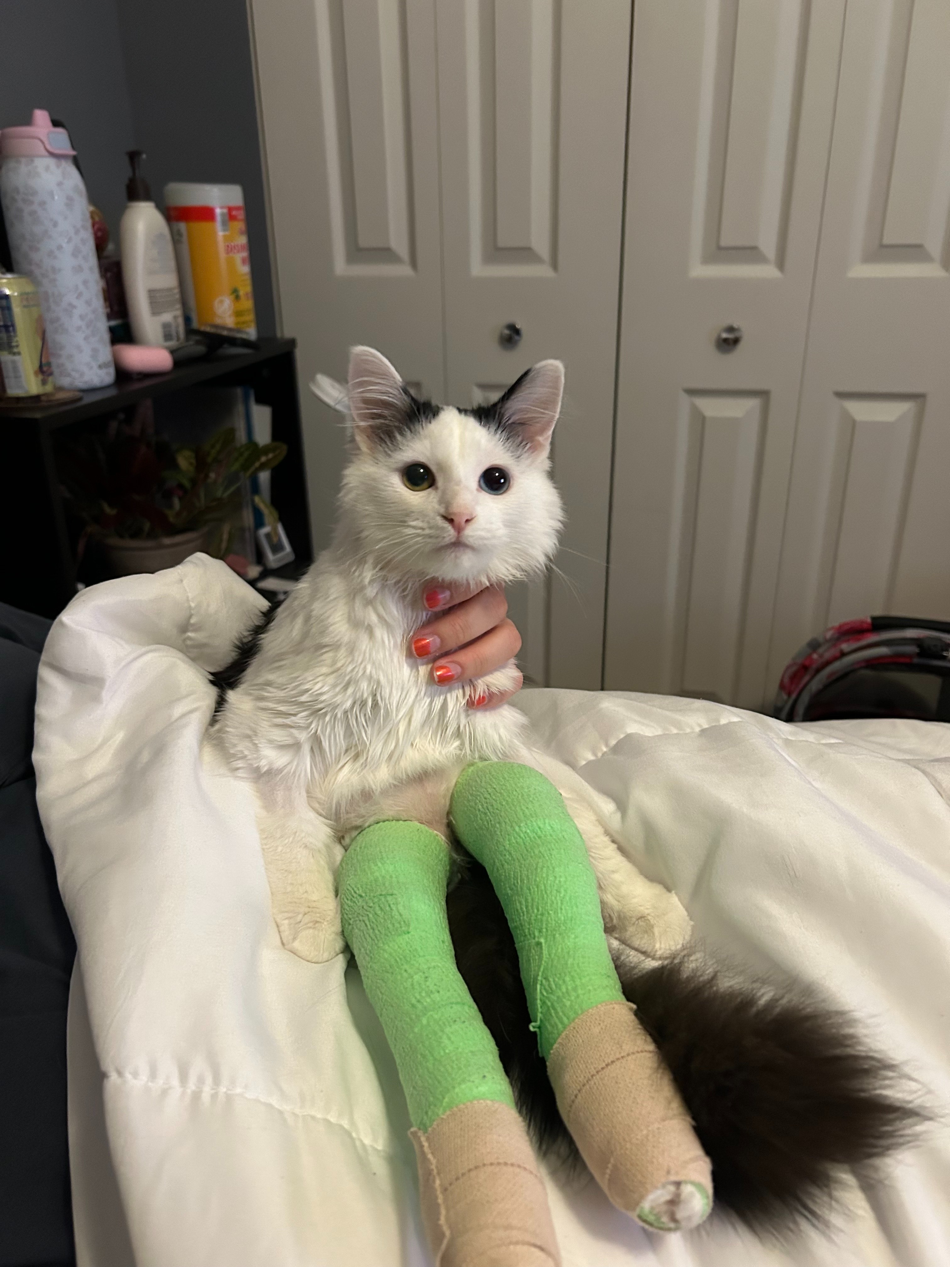 Give Ducky a Chance at a Pain-Free Life campaign photo, 6 of 6