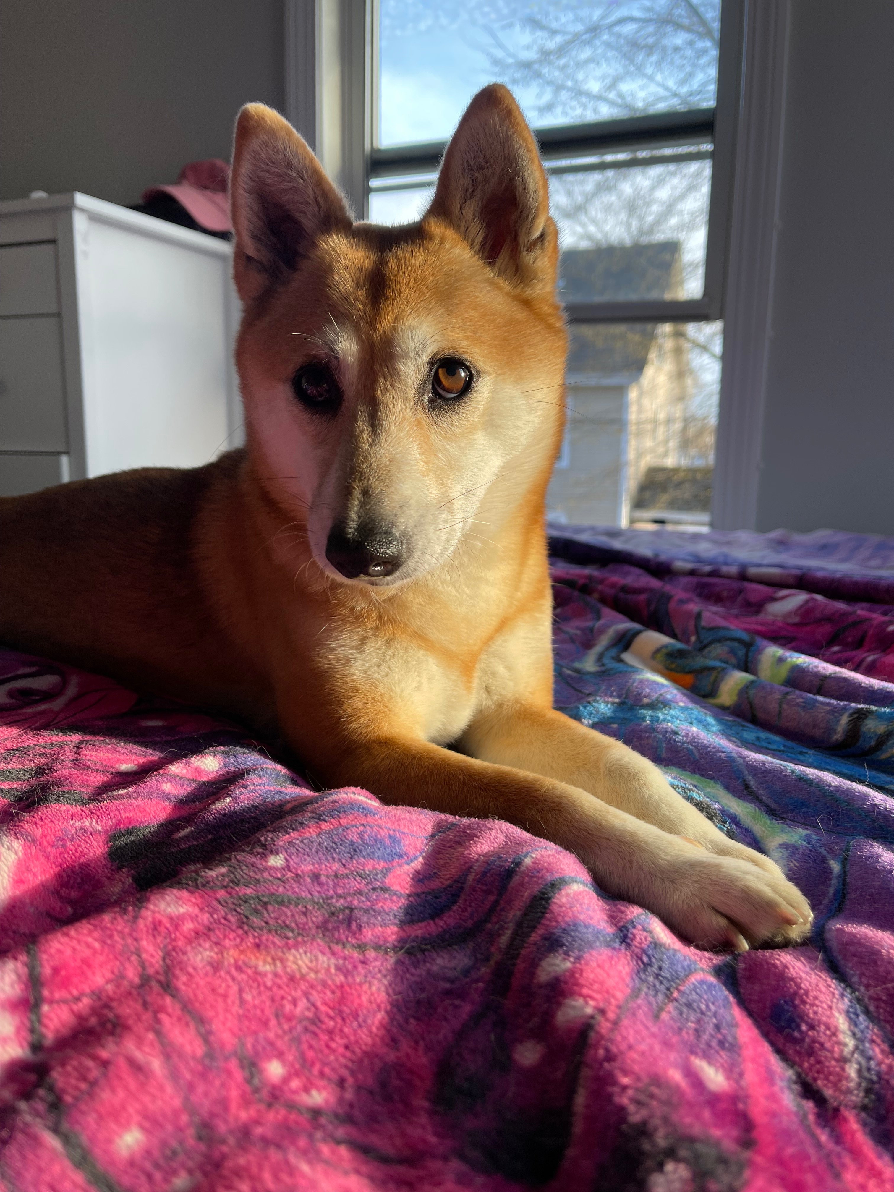 Donate to Mila's Medical Expenses campaign photo, 5 of 6