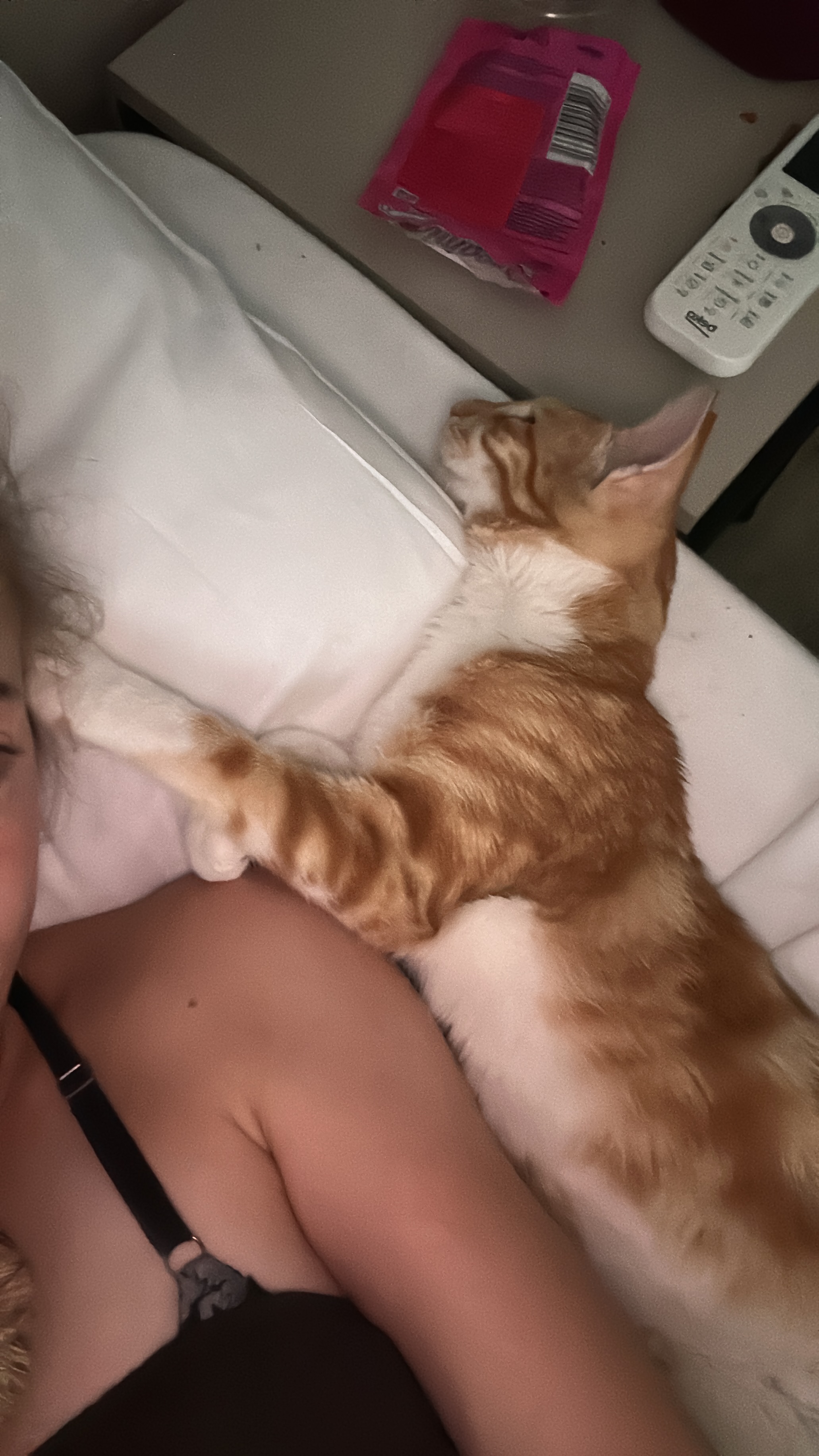 Please  donate to get scoot home to a loving family campaign photo, 6 of 8