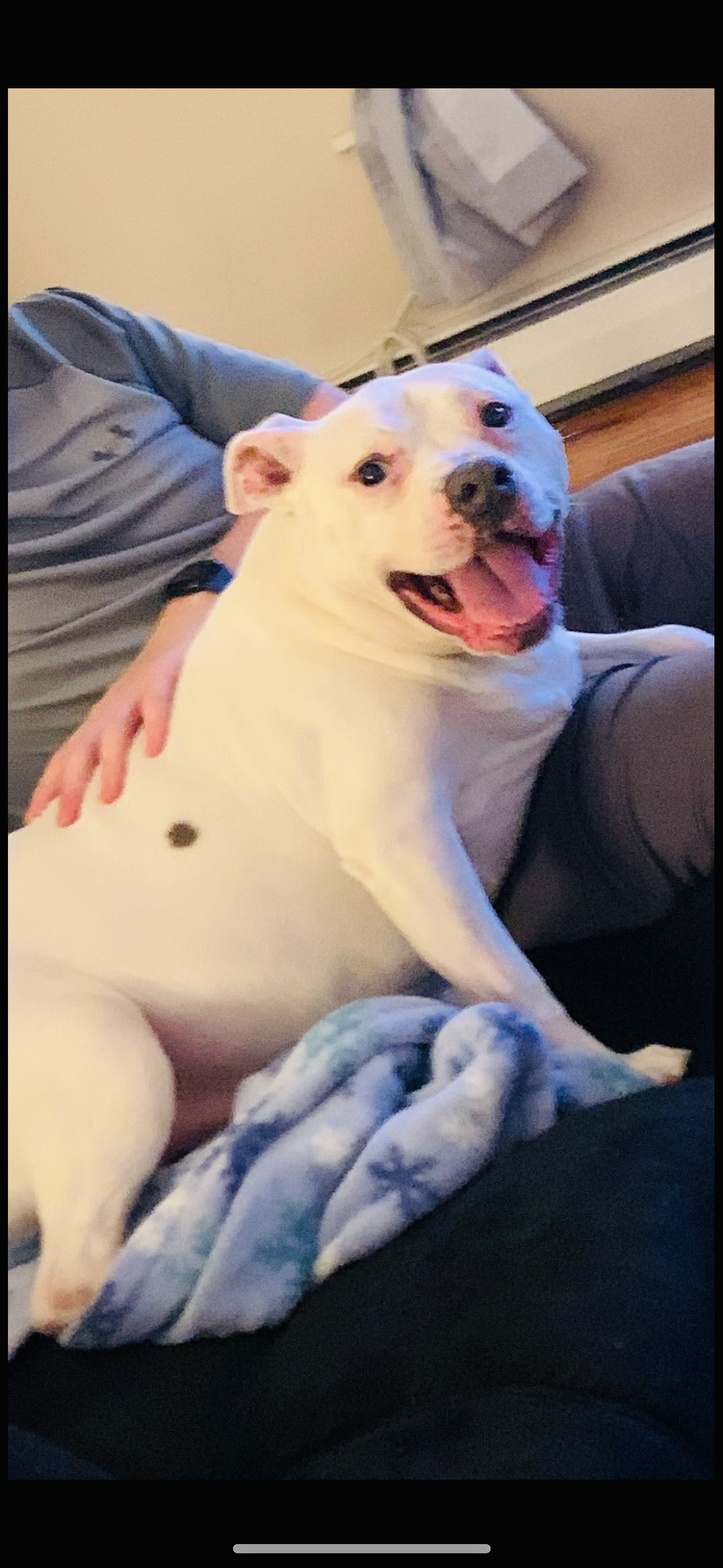 Support Casper's Journey to Pain-Free Days campaign photo, 6 of 7