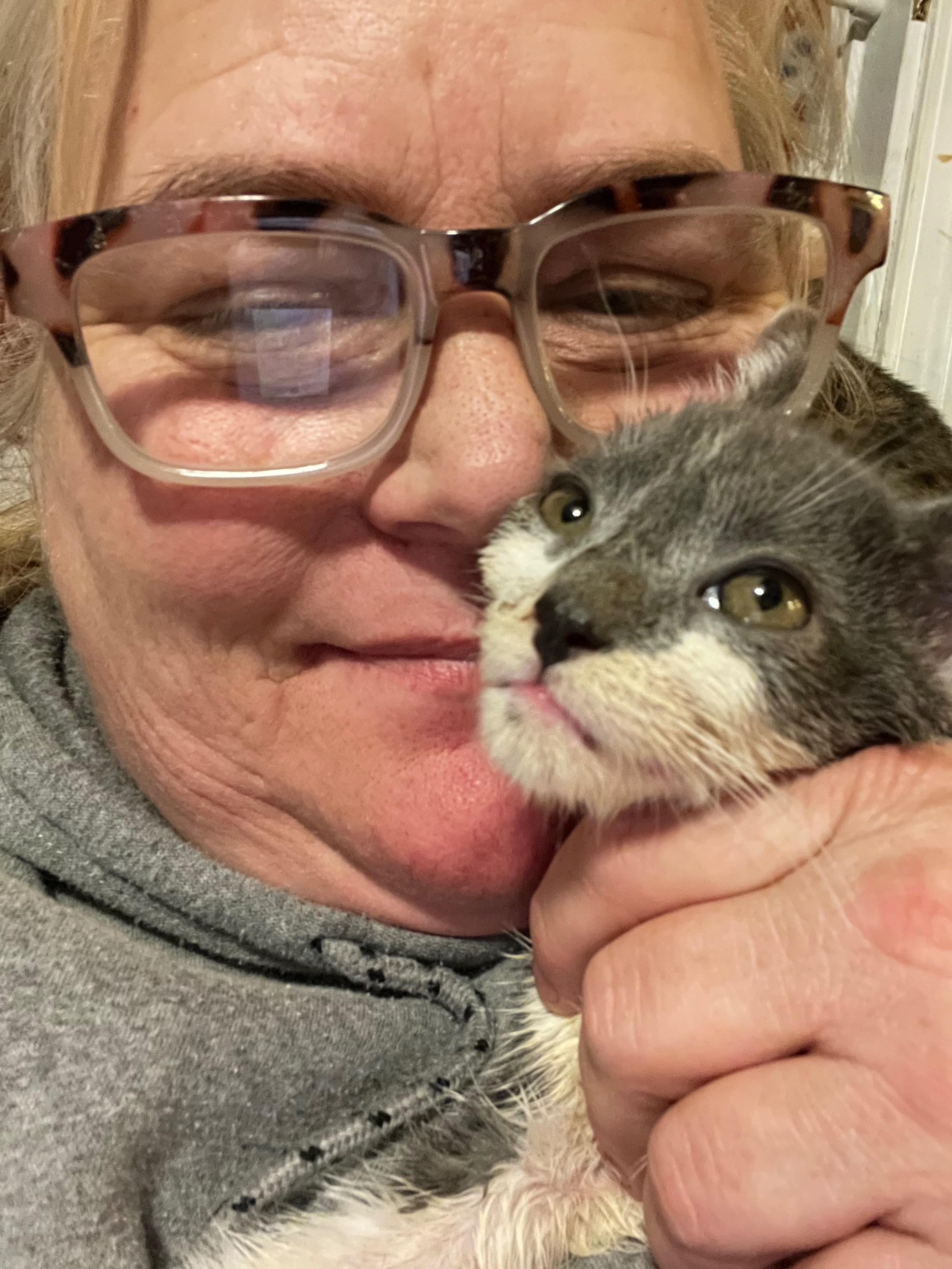 Donate to Save Little Tipsy's Life campaign photo, 2 of 7