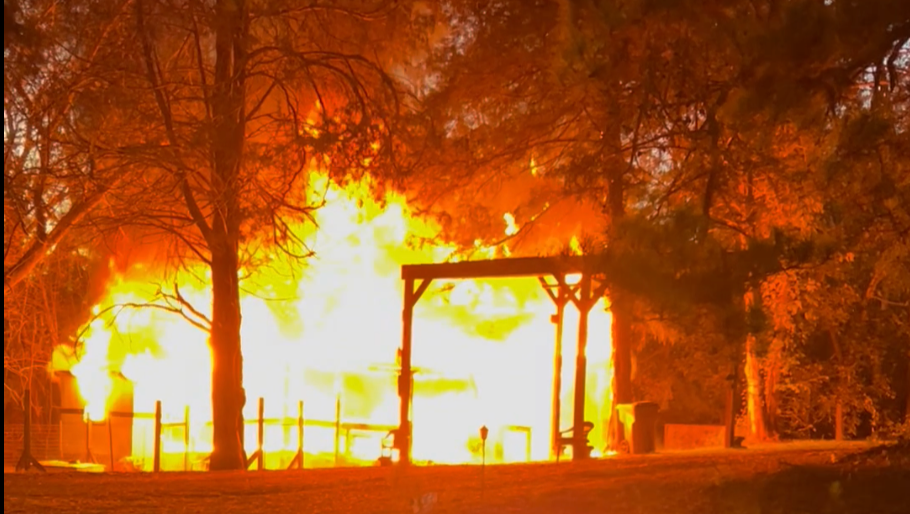 Fundraiser by Lydia Saunders : Help Tracy and Her Dogs Rebuild After a ...