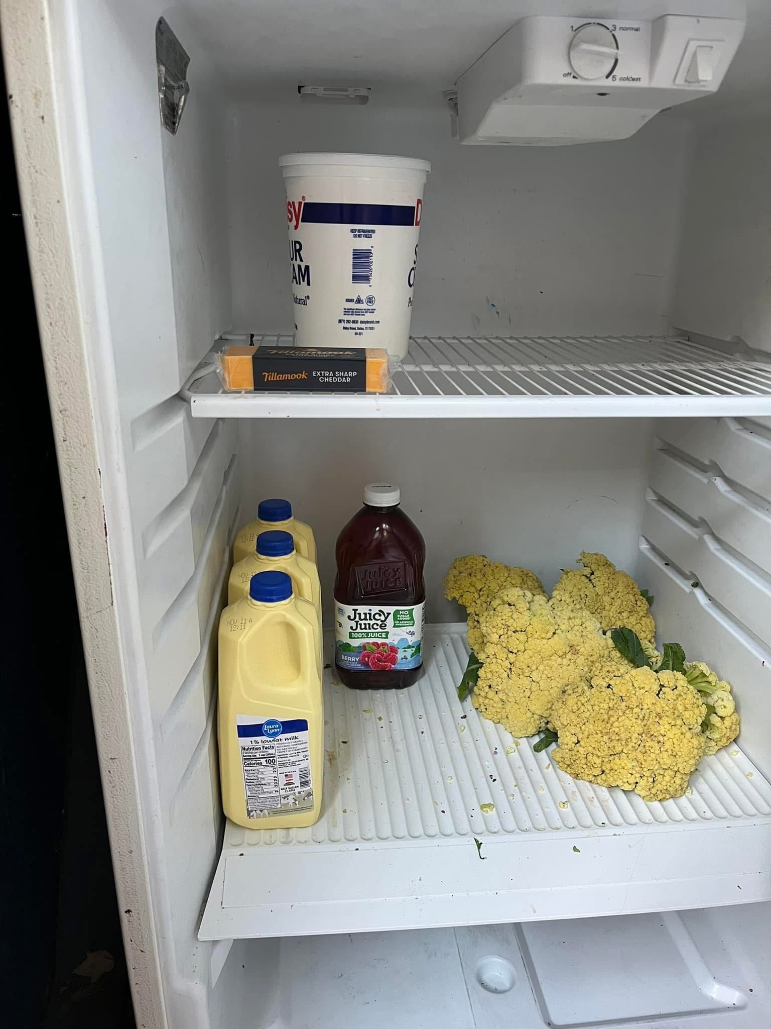Help Free Fridge AVL Fight Food Insecurity (for my bday!) campaign photo, 5 of 6