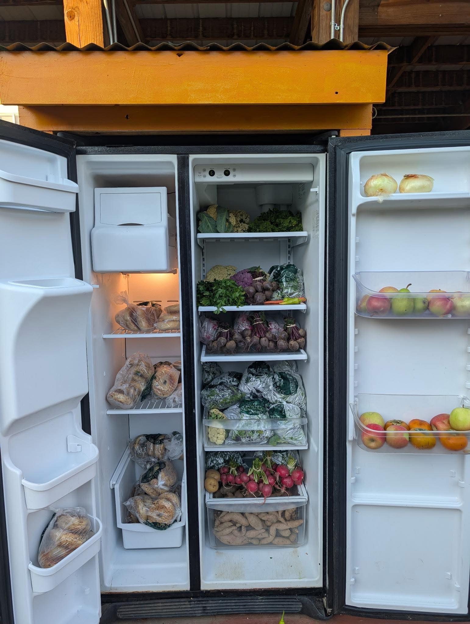 Help Free Fridge AVL Fight Food Insecurity (for my bday!) campaign photo, 2 of 6