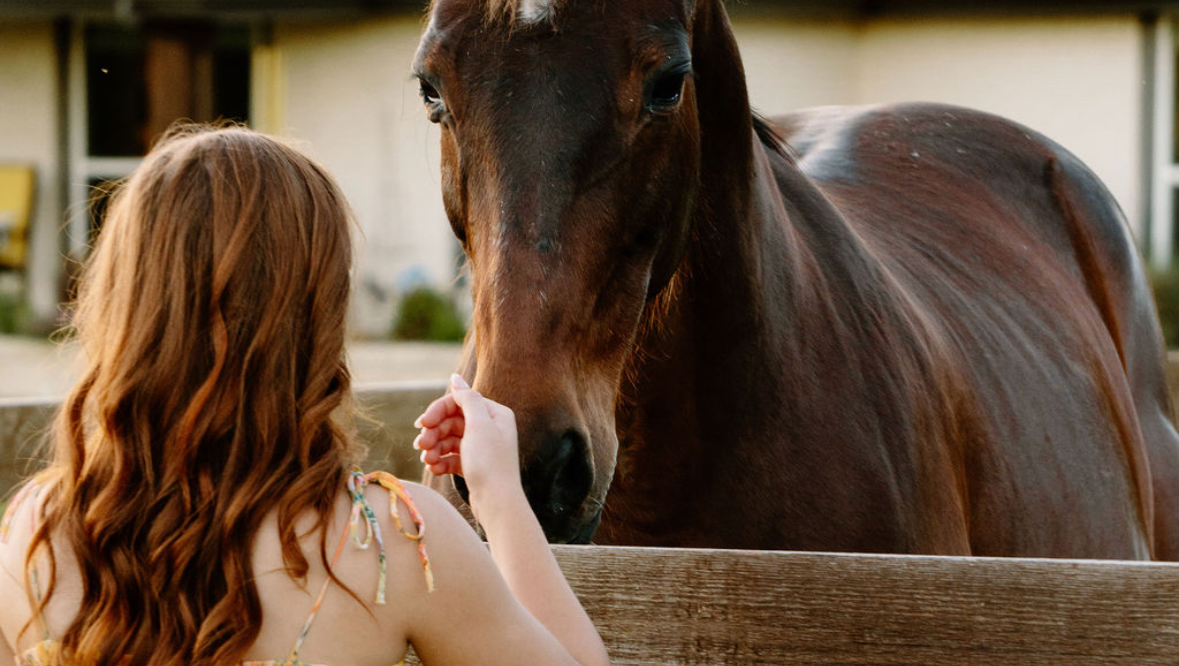 Donate to Empower a Future in Equine Care photo