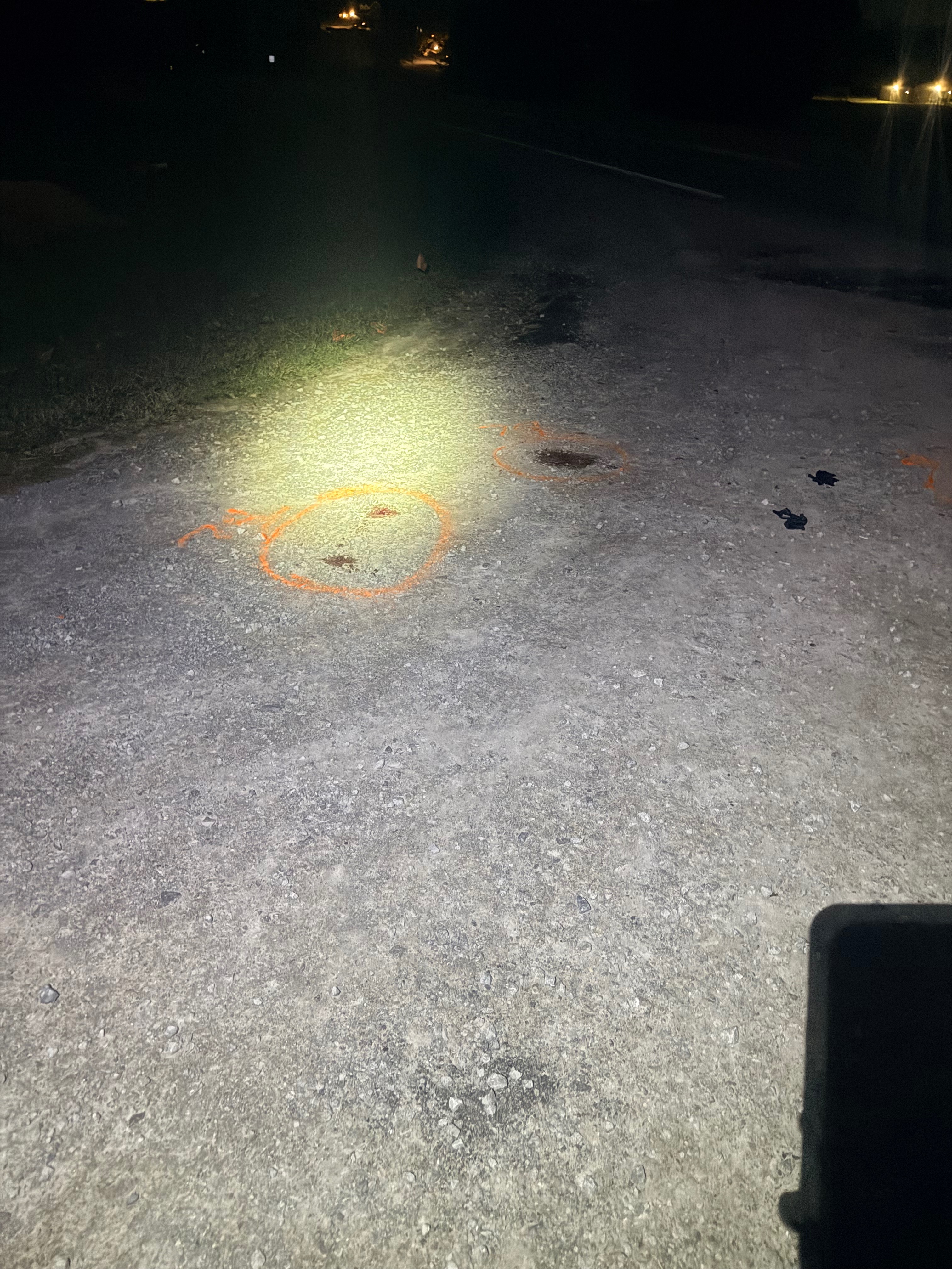 User-uploaded image 1