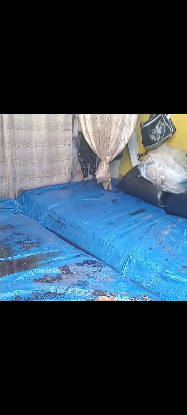 Help the Sampath's Family Rebuild After Hurricane Melissa campaign photo, 5 of 8