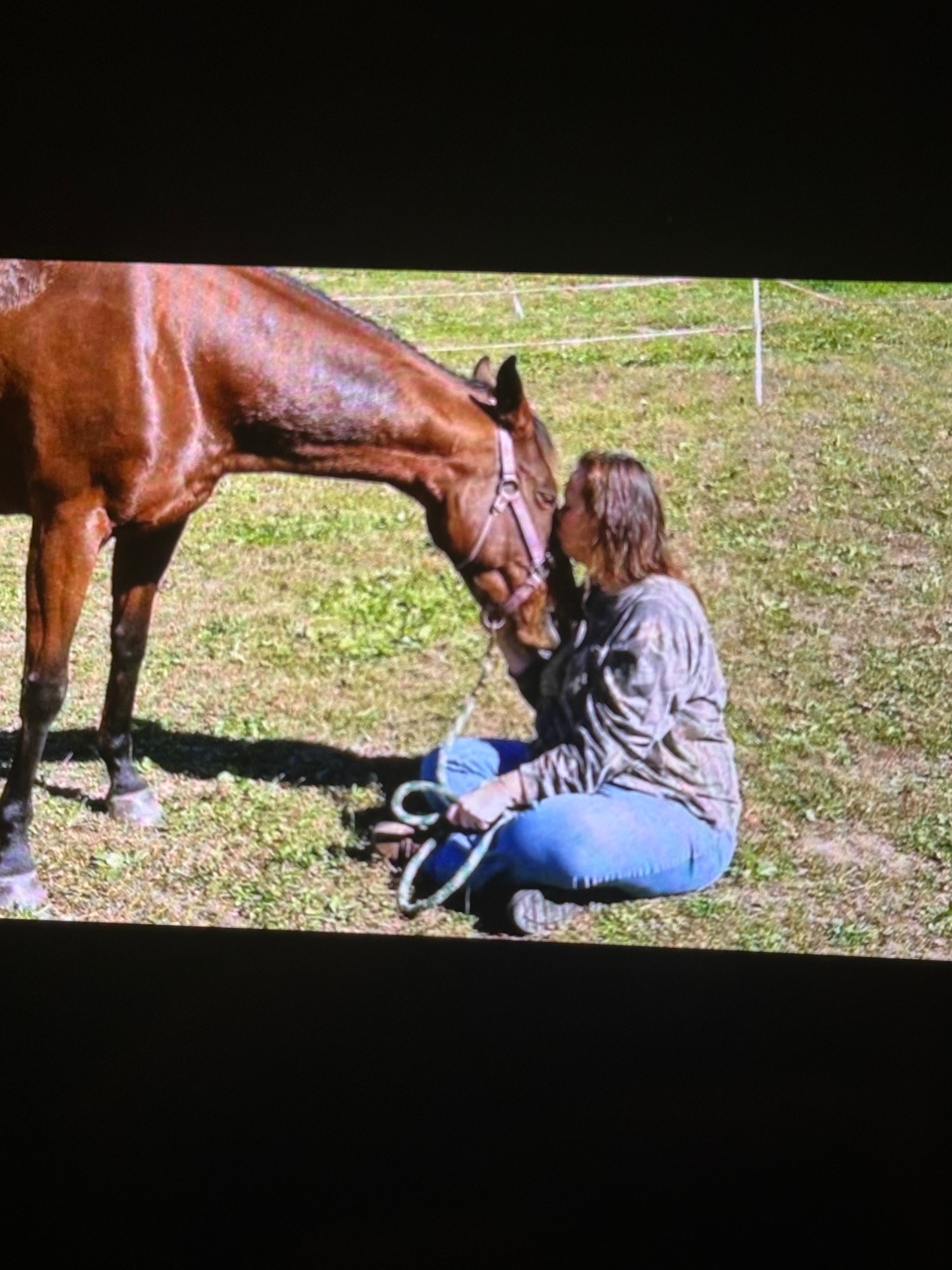 Help Crystal Heal and Feed Her Animals campaign photo, 2 of 5
