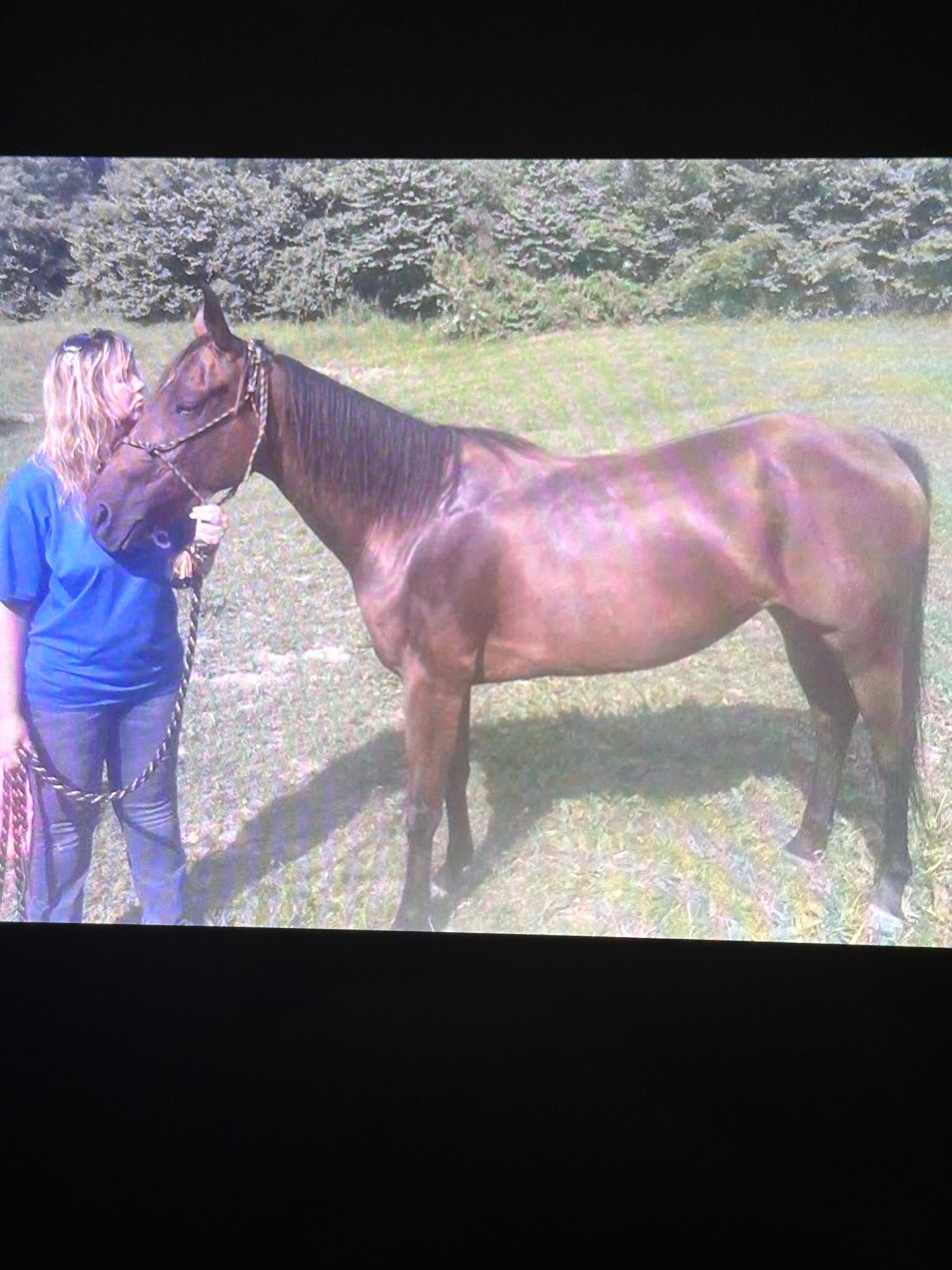 Help Crystal Heal and Feed Her Animals campaign photo, 4 of 5
