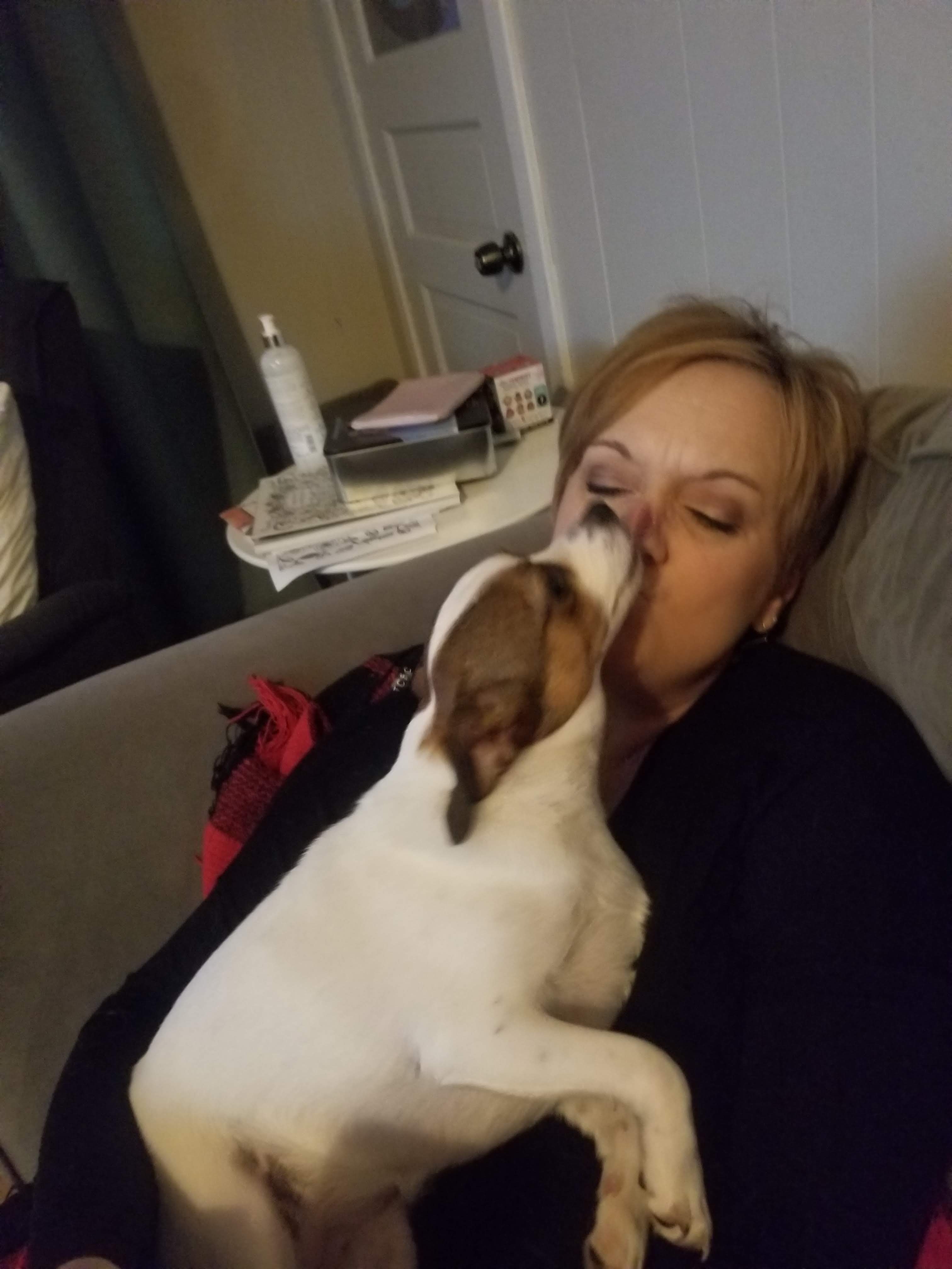 Help Save Minnie: Emergency Vet Care Needed campaign photo, 2 of 8