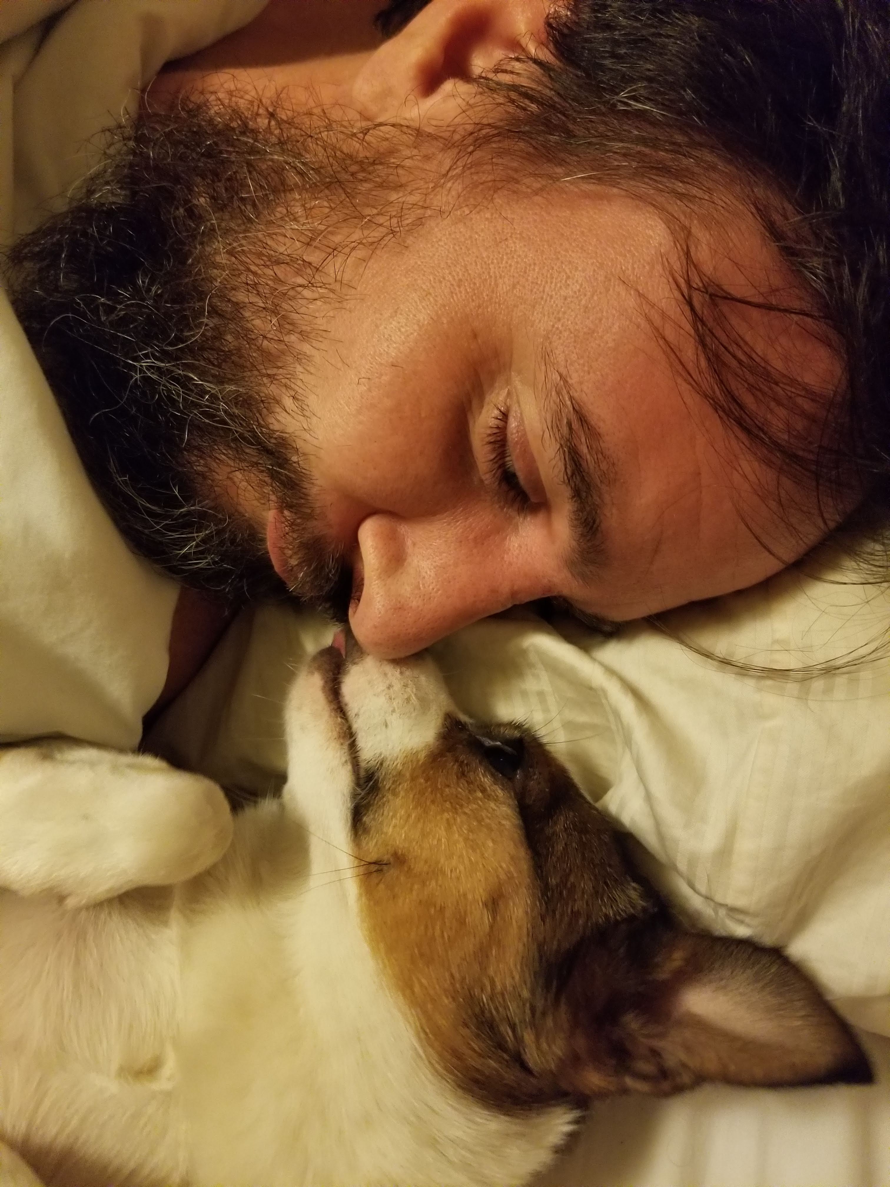 Help Save Minnie: Emergency Vet Care Needed campaign photo, 6 of 8