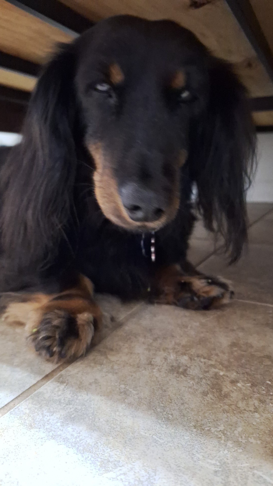 Help Krasher Heal: Support His Recovery campaign photo, 4 of 6