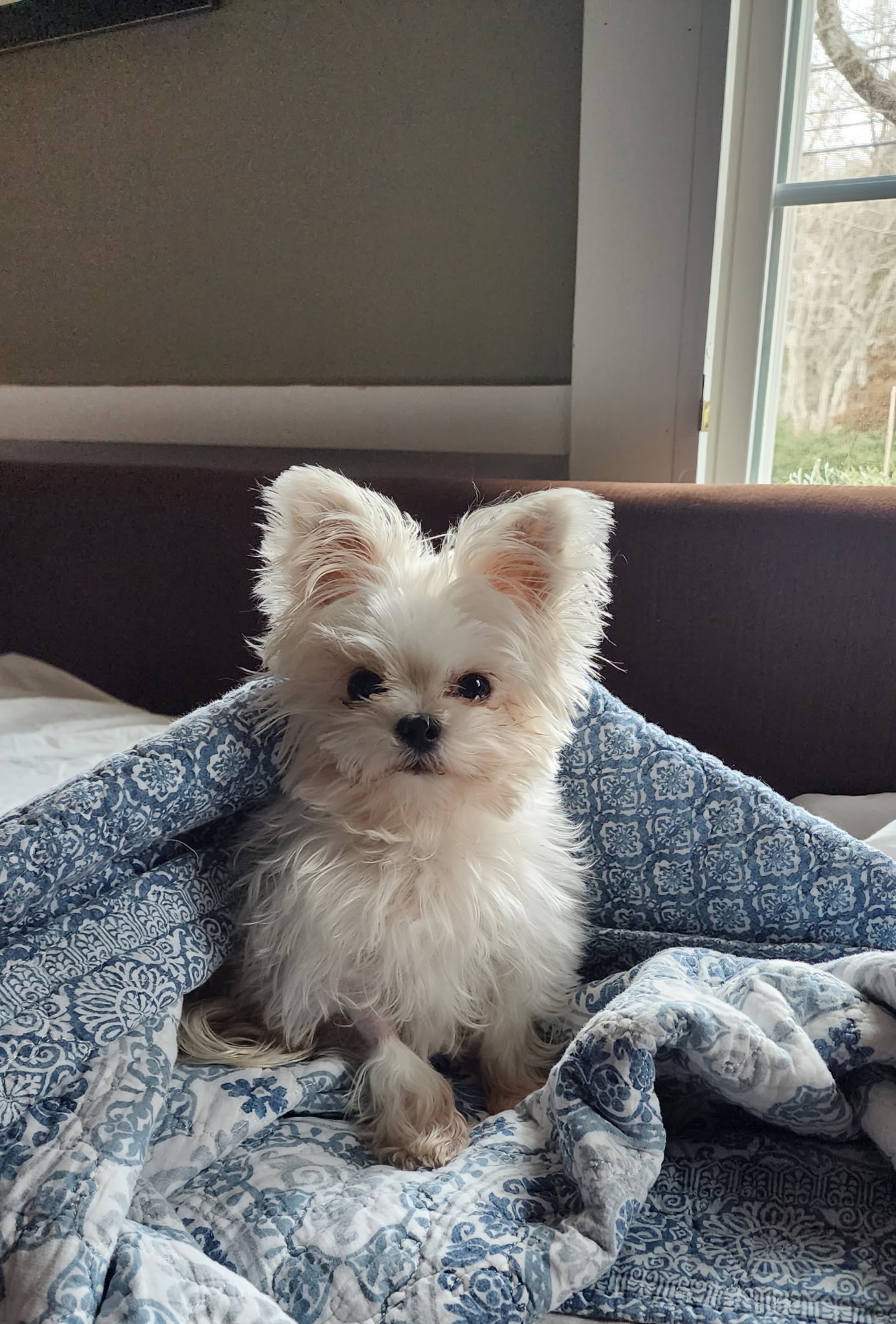 Lily Needs More Time, Help Us Give It To Her campaign photo, 5 of 8