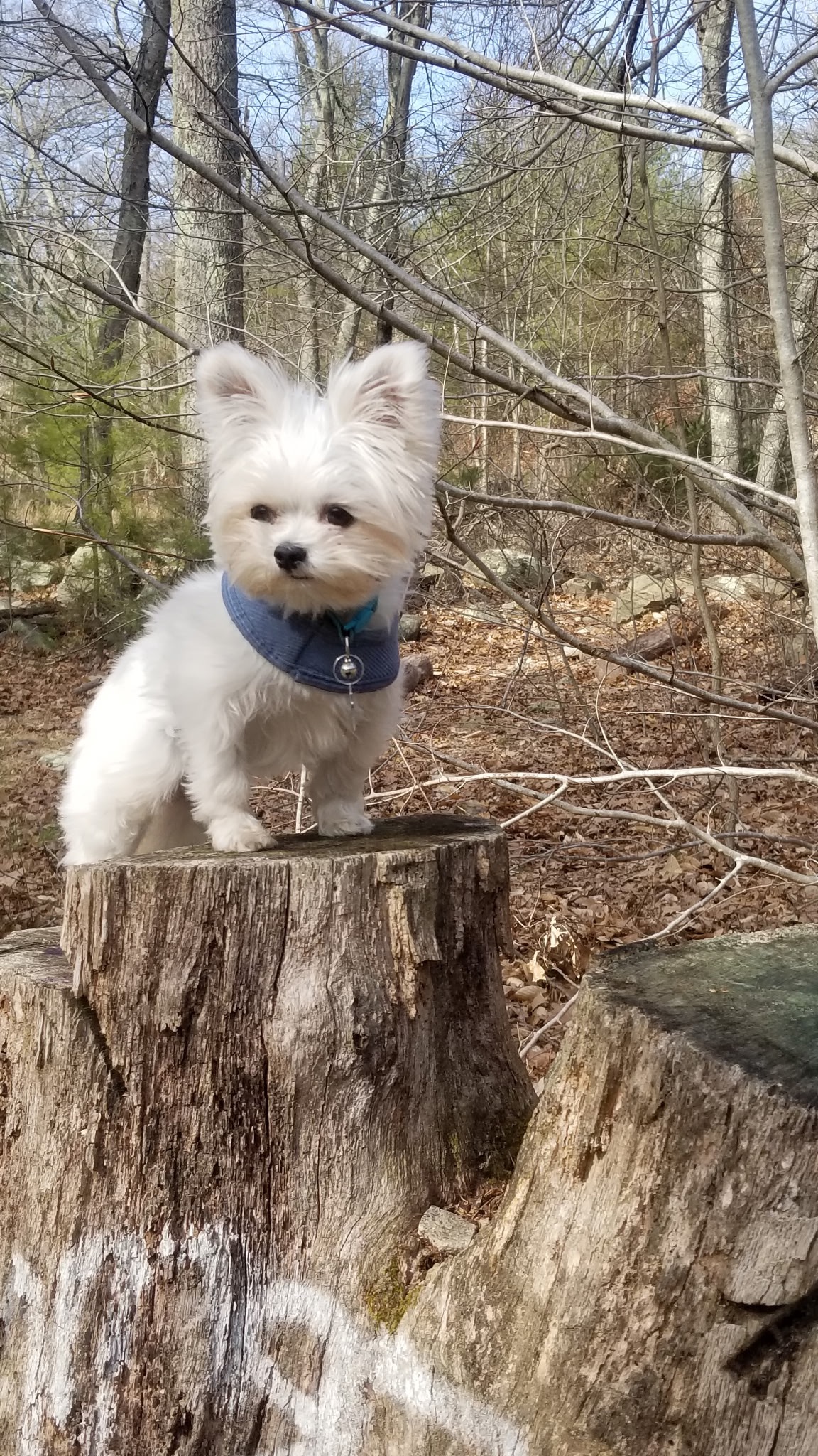 Lily Needs More Time, Help Us Give It To Her campaign photo, 6 of 8