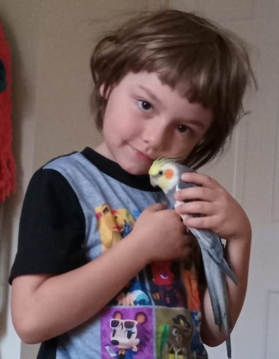 User-uploaded image 1