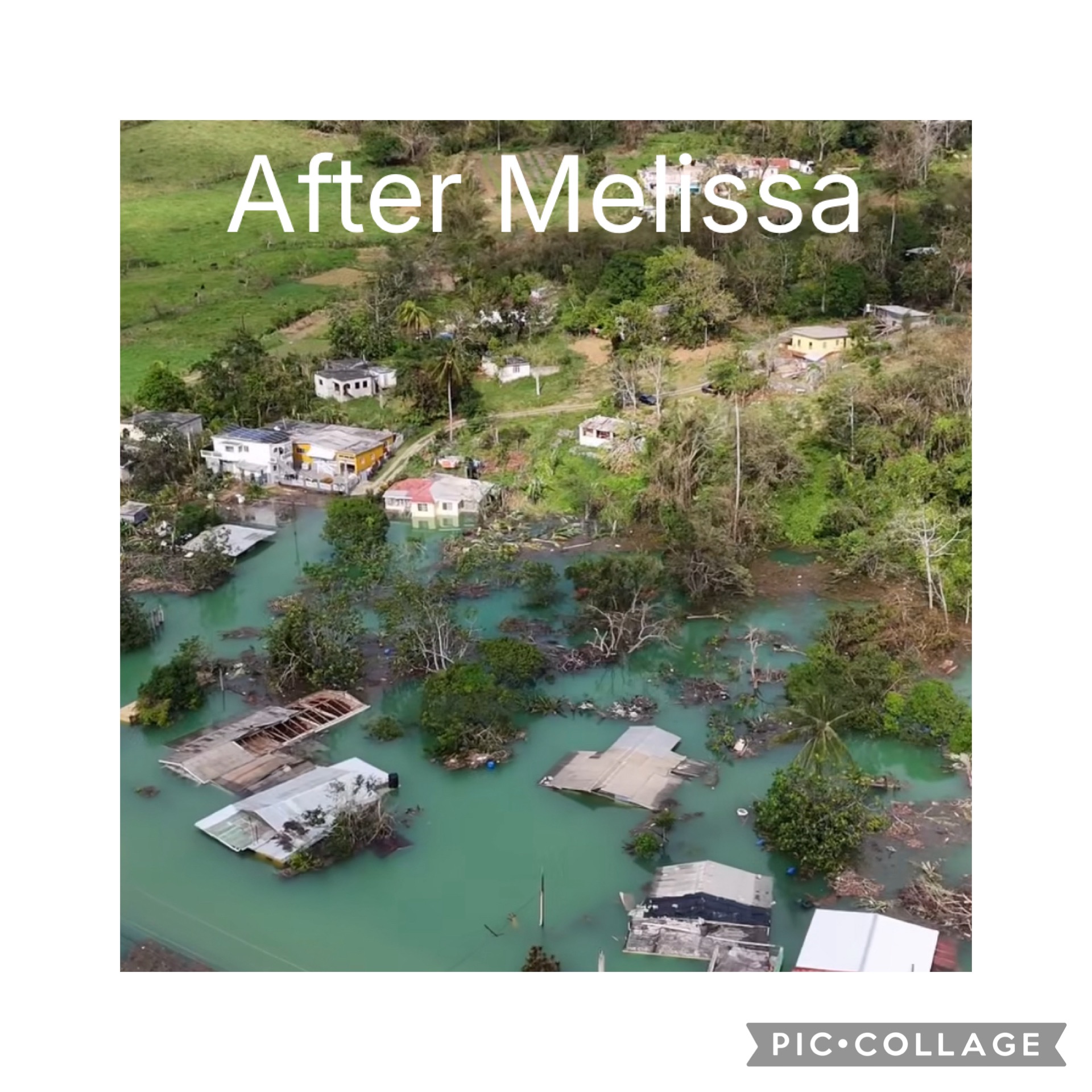 Support Millicent and Brighton District's Rebuilding Efforts campaign photo, 6 of 8