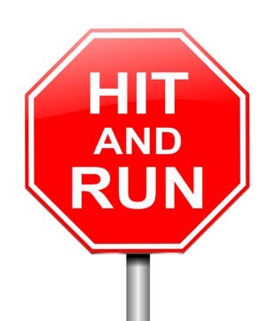 Help Annie Recover from Hit and Run Accident campaign photo, 2 of 4
