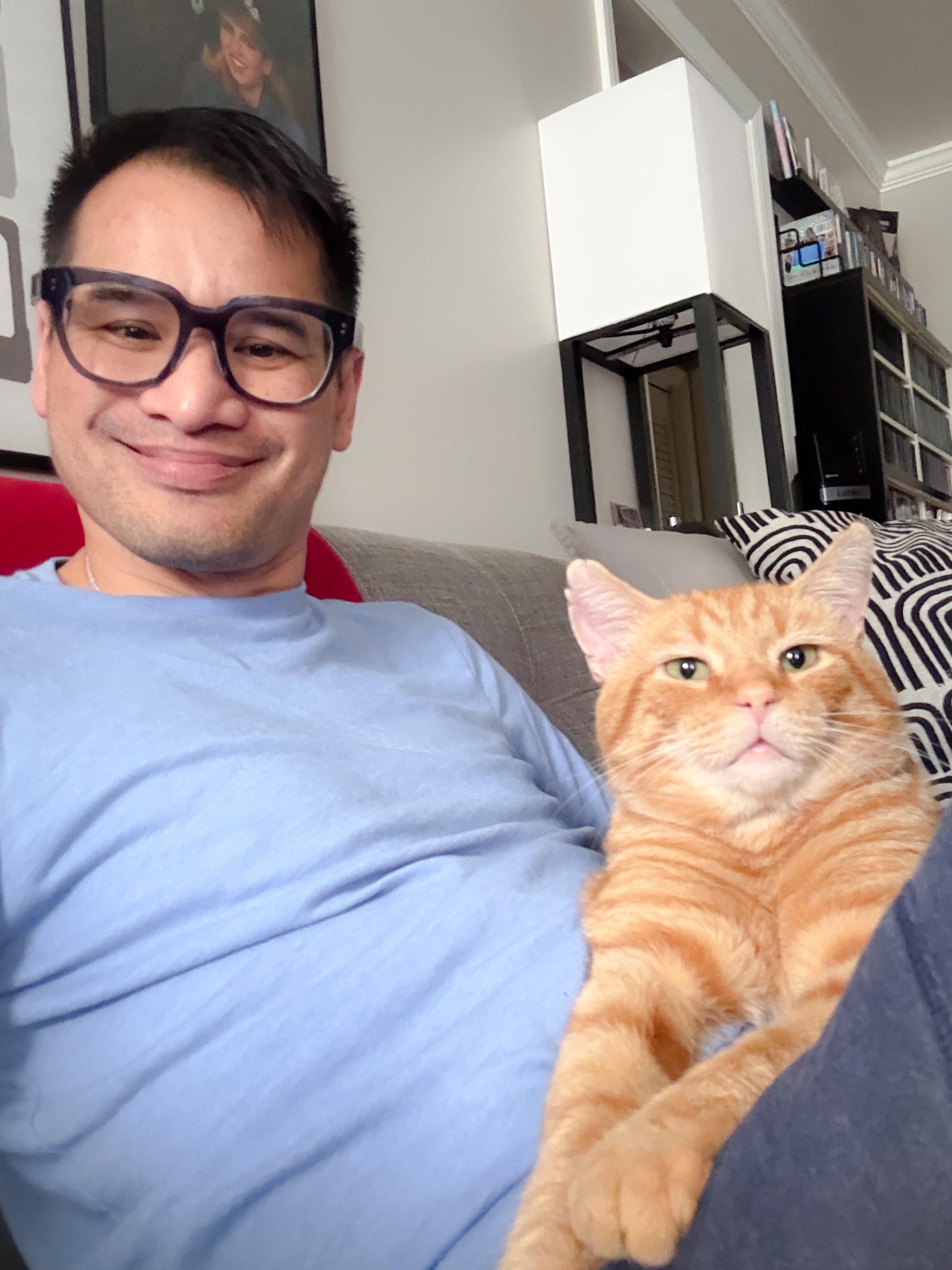 Help Garfield the Stray Cat Start a New Life campaign photo, 5 of 5